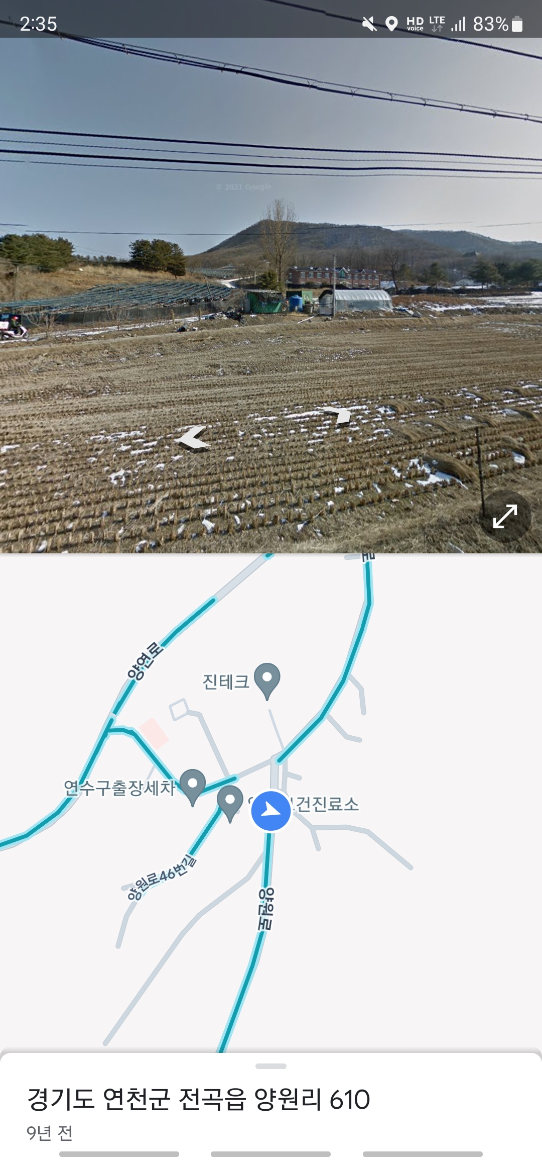 진돗개로 보이는 강아지들이 날씨와 무관하게 갇혀있고 묶여 있습니다.