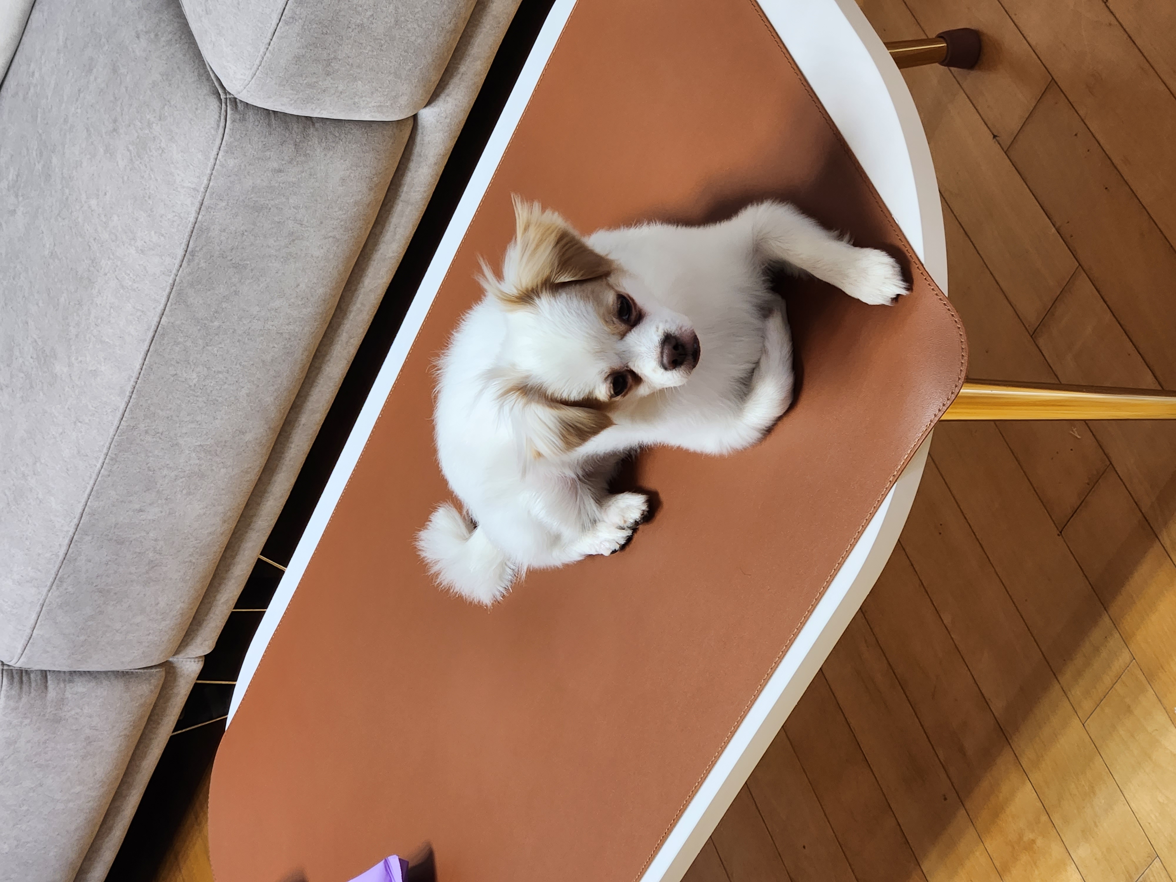 투투(쭌이) 잘지내고있어요