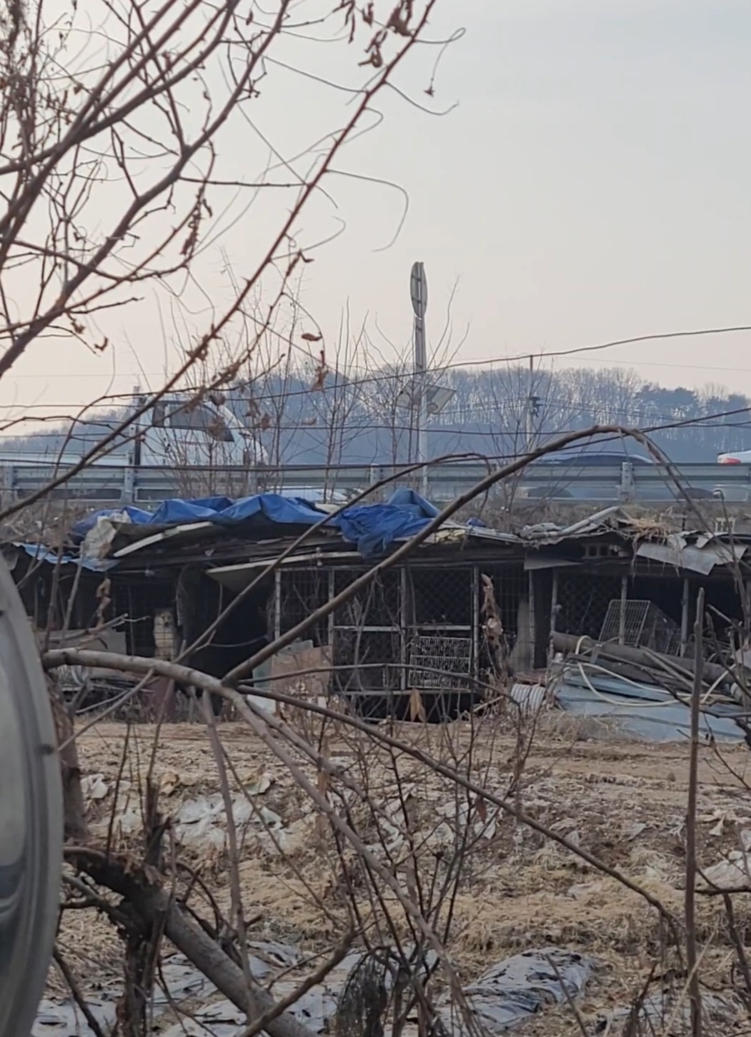 불법뜬장, 열악한 환경 제보합니다
