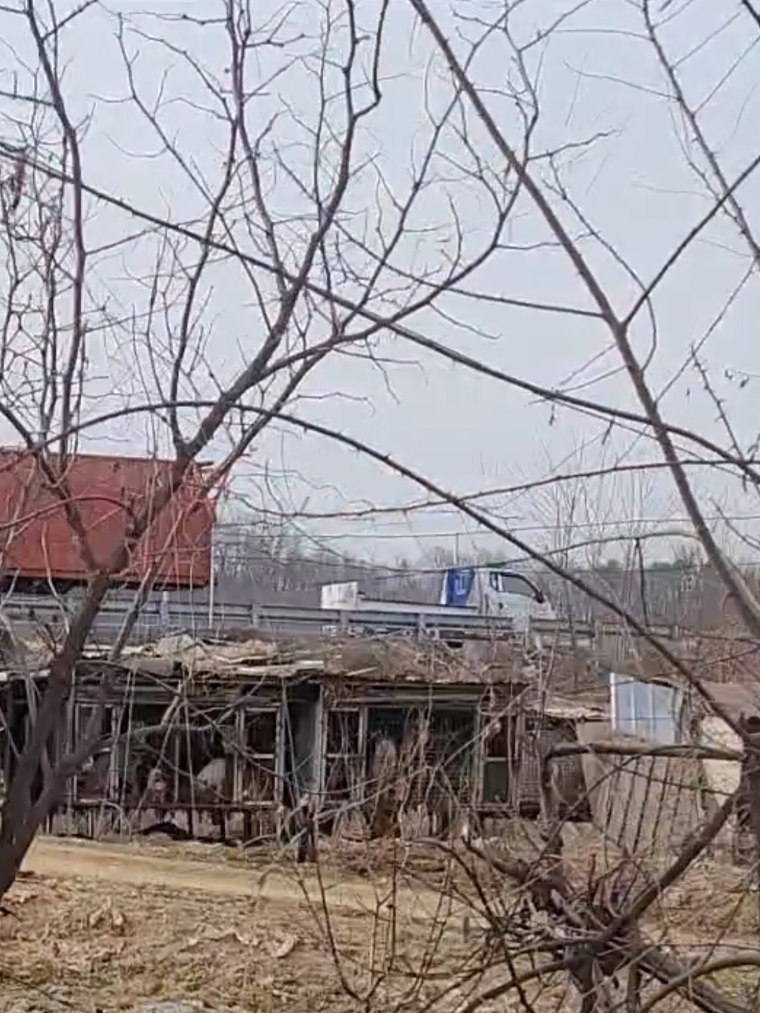 불법뜬장, 열악한 환경 제보합니다