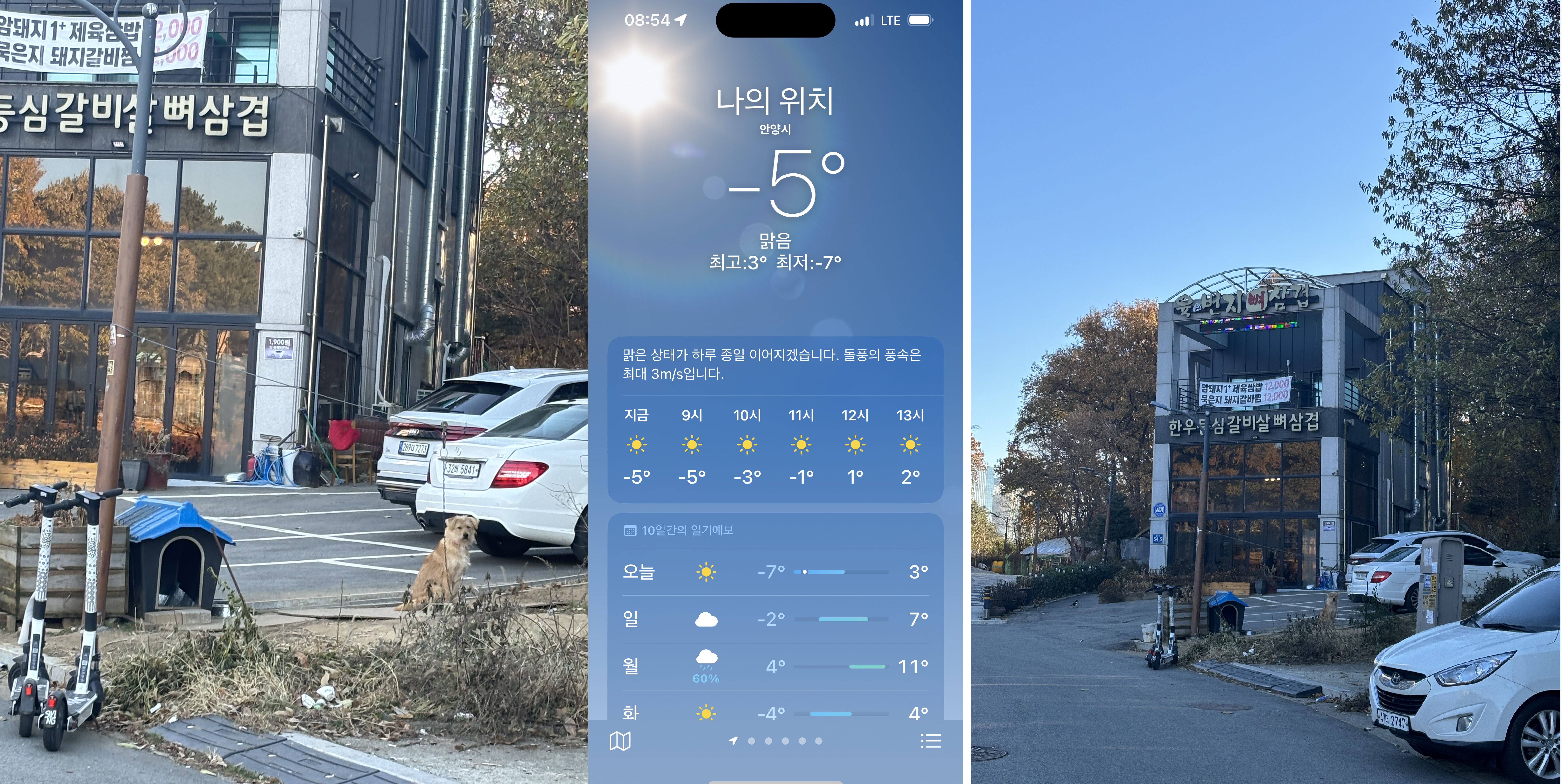 식당 앞 계속 바뀌는 강아지, 목줄에 묶여 열악한 환경에 방치된 아이를 도와주세요, 소유권자가 더이상 같은 방식으로 사육하지 않게 도와주세요