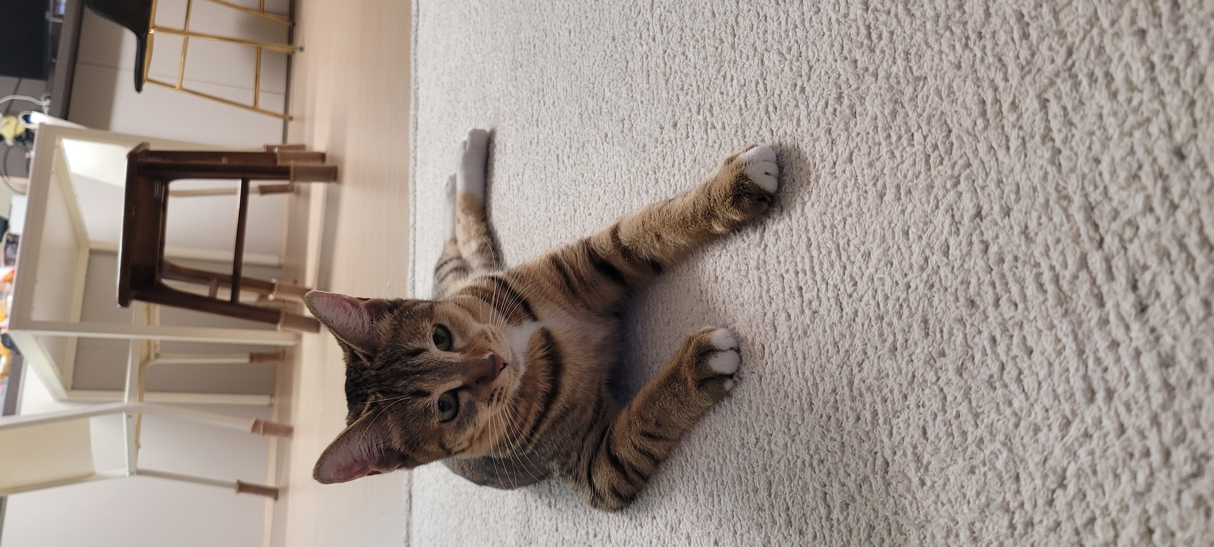 일튼이 1주일
