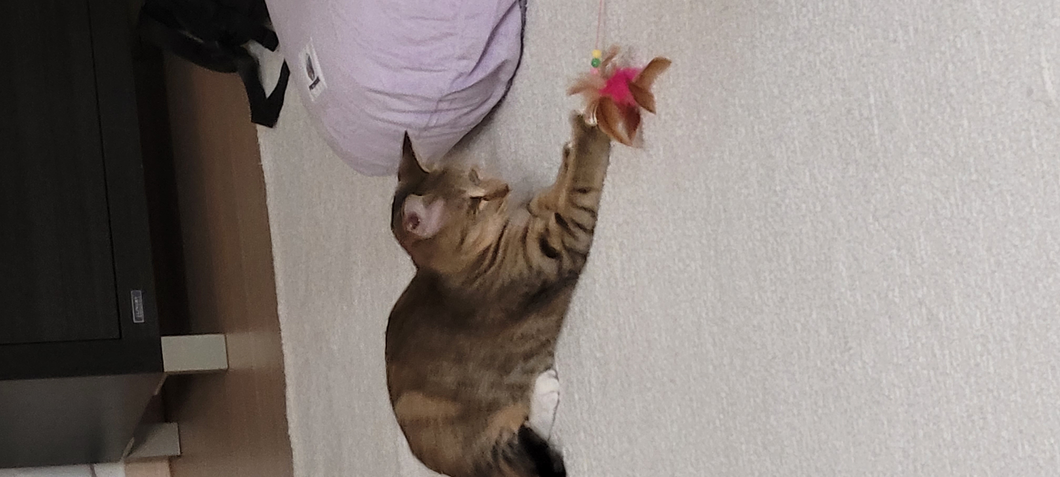 일튼이 1주일