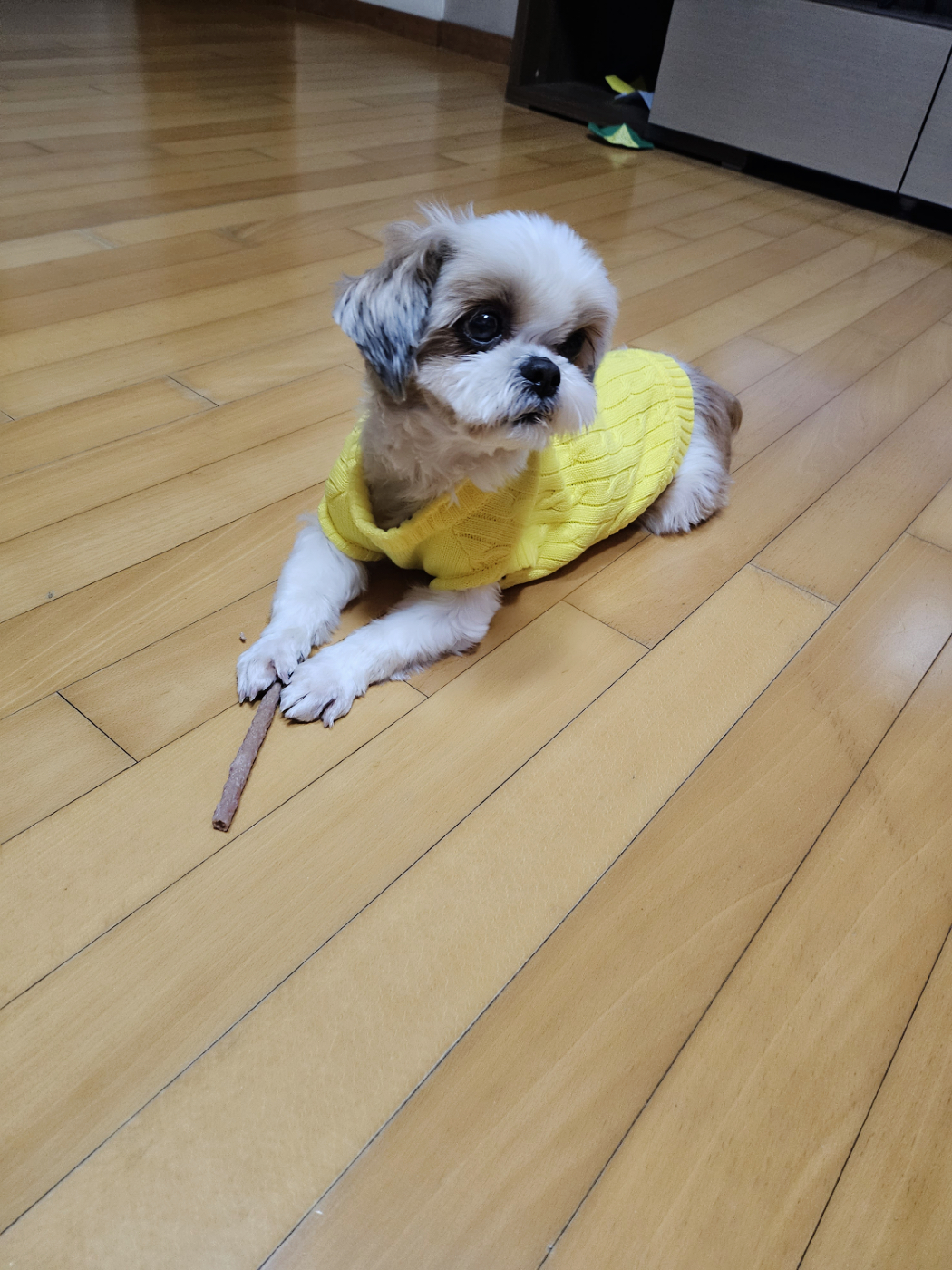 (에밀리_7일차) 우리가족 튼튼이로 거듭나다