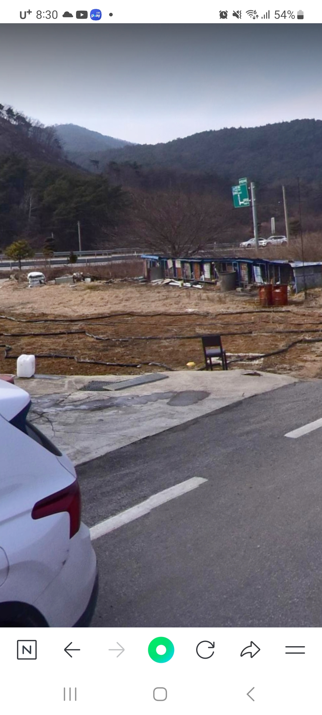 동물학대제보
