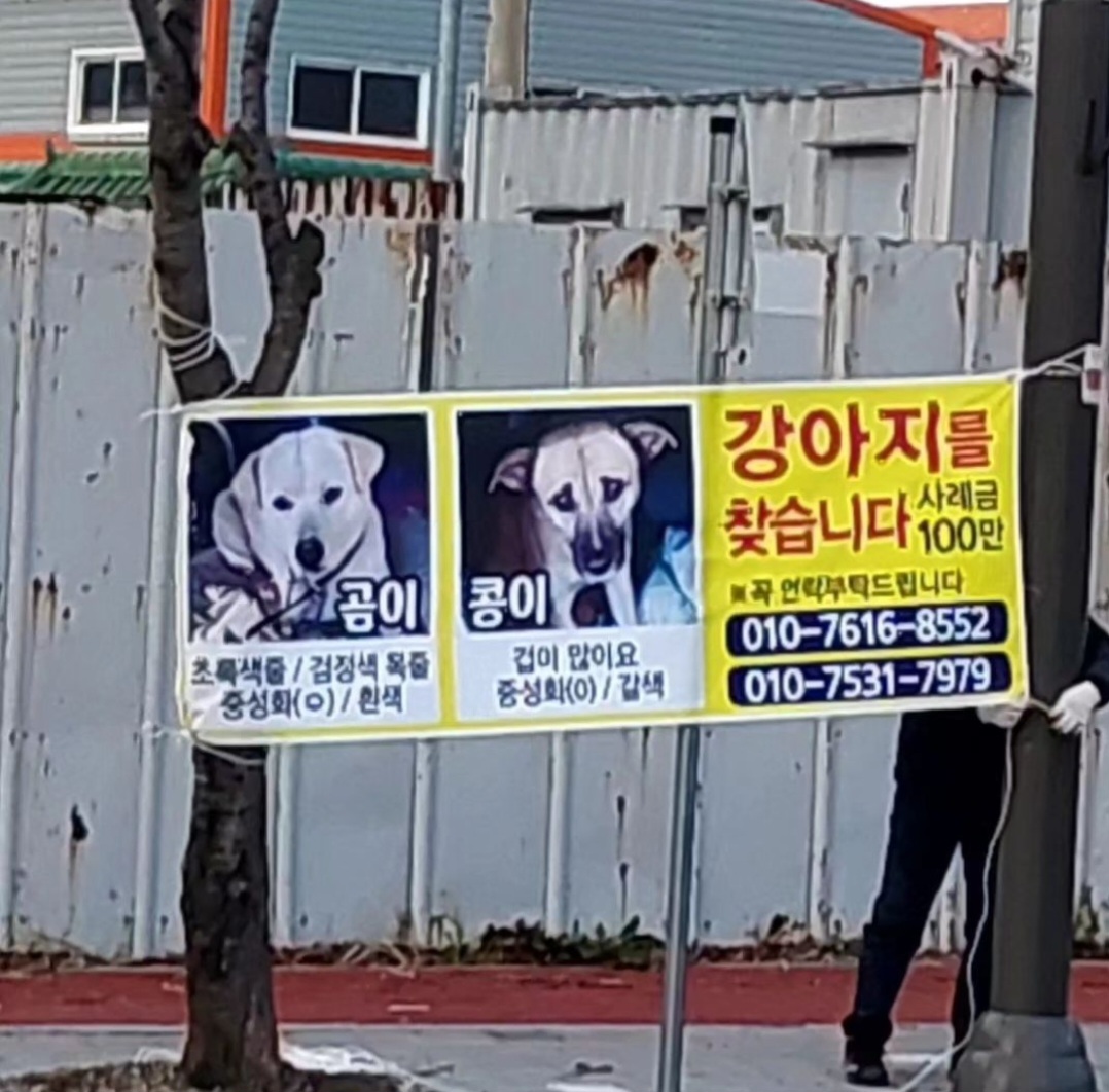 곰이 콩이를 도와주세요