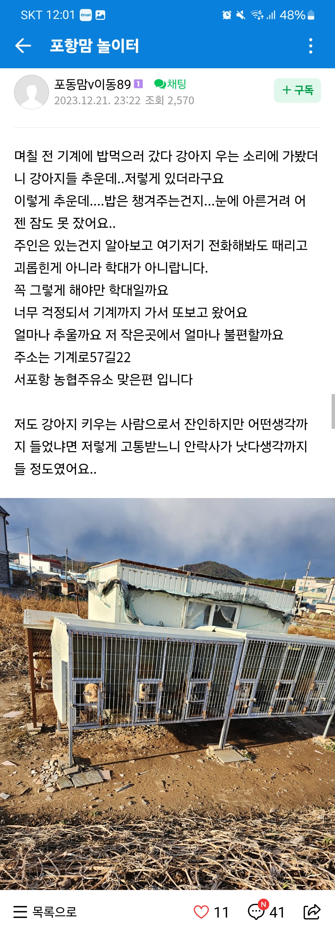 뜬장에 여러마리 개를 키우는데 식용목적인거 같아요