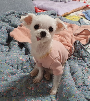 미미(아림이)