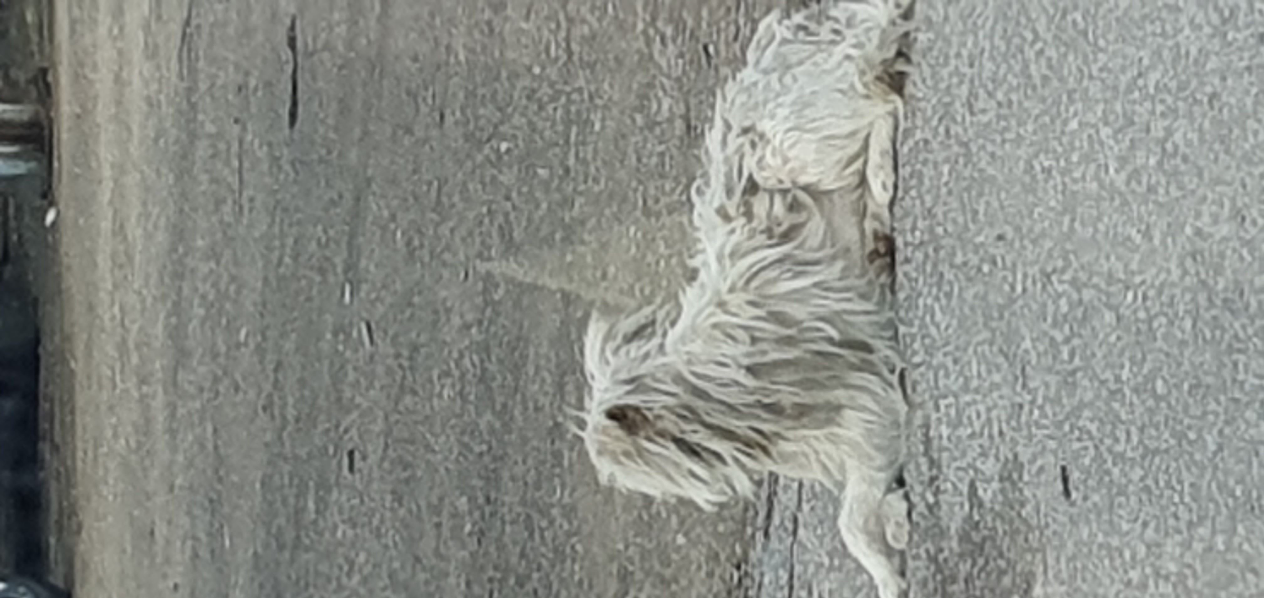 안녕하세요 경기도오산입니다