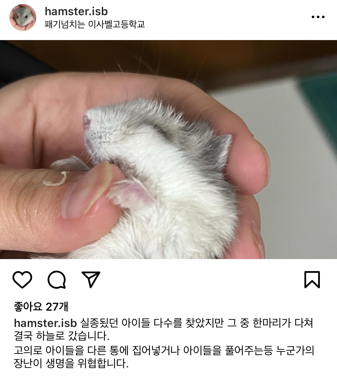 부산이사벨고등학교의 햄스터 집단 학대 신고