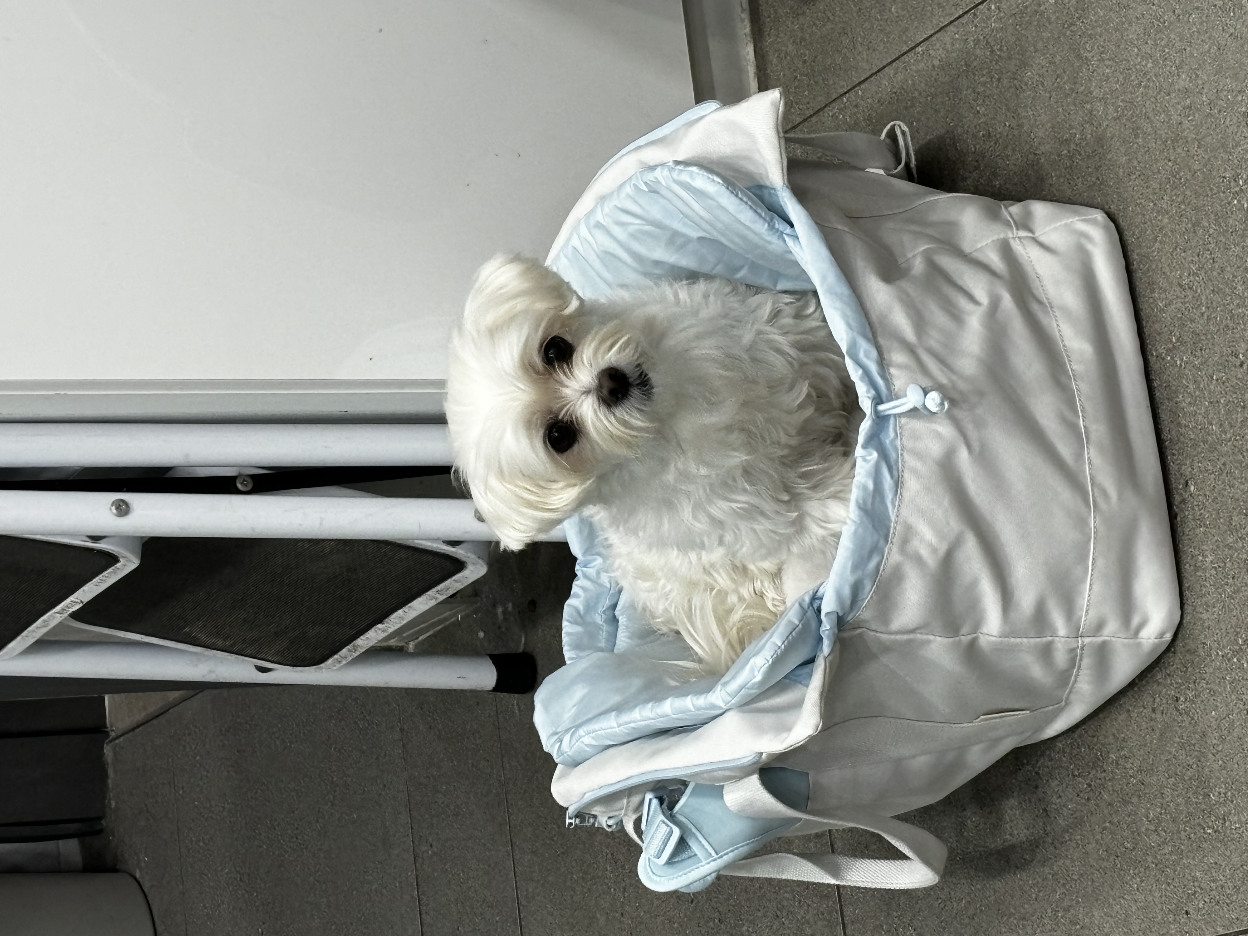 최근 삼숙이 근황들💛