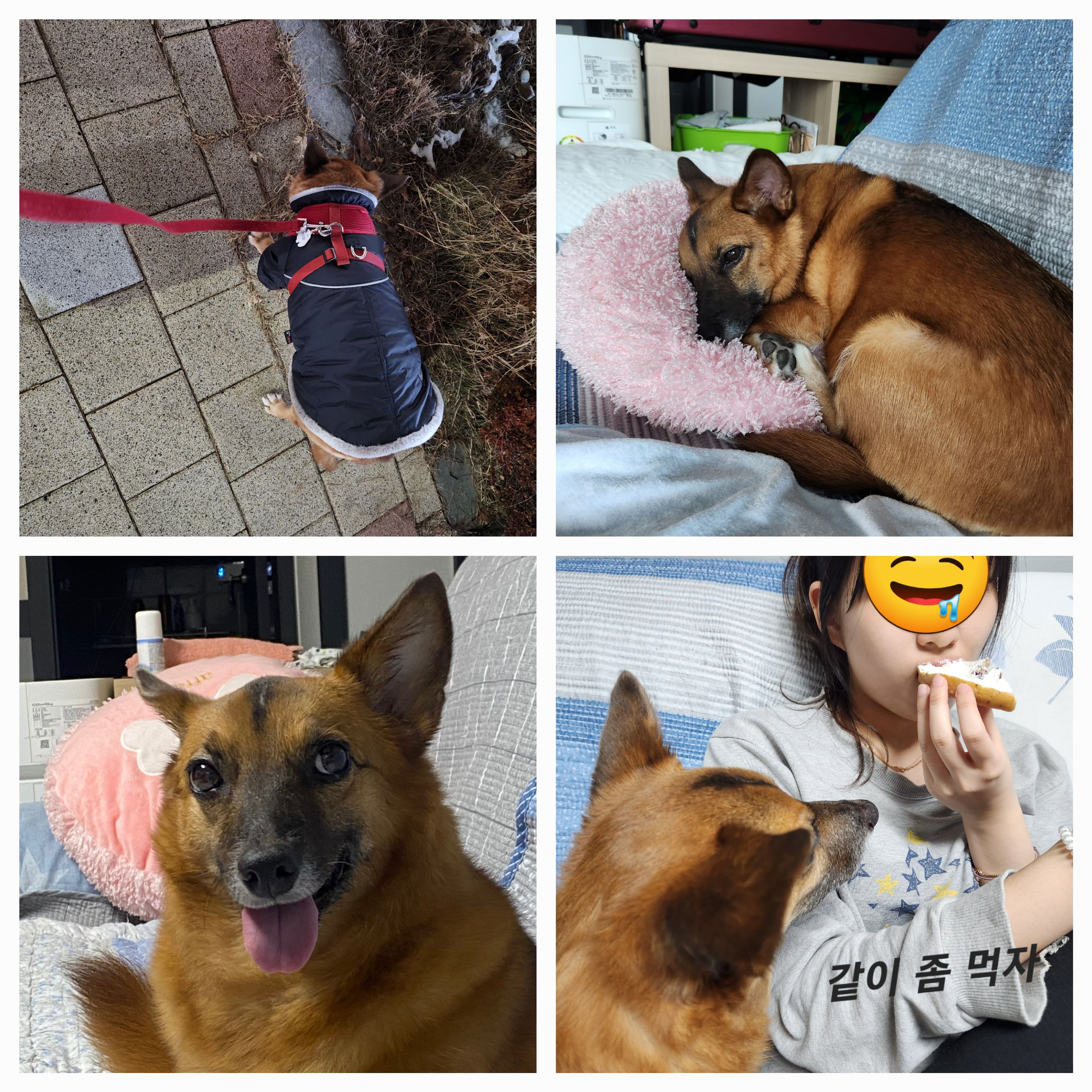 안녕하세요. 리카입니다.