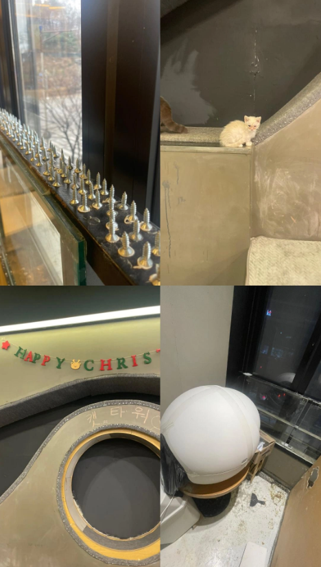 제발 꼭 읽어주세요. 부탁드립니다. 관심이 필요합니다.