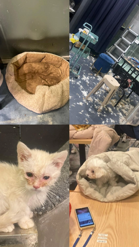 제발 꼭 읽어주세요. 부탁드립니다. 관심이 필요합니다.