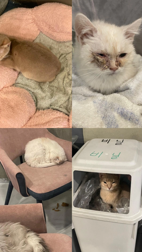 제발 꼭 읽어주세요. 부탁드립니다. 관심이 필요합니다.