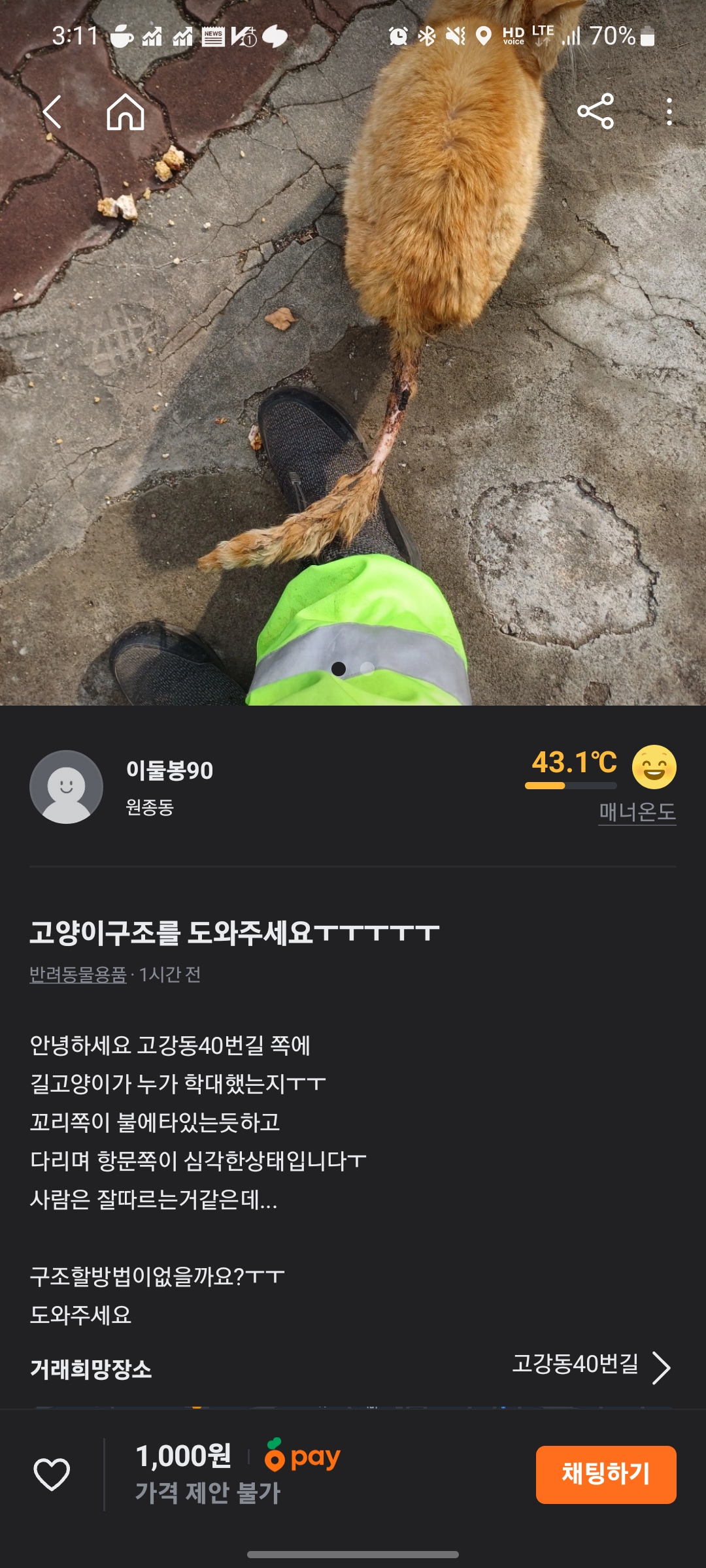 경기도 부천시 원종동 길냥이 학대신고 구조 부탁드립니다