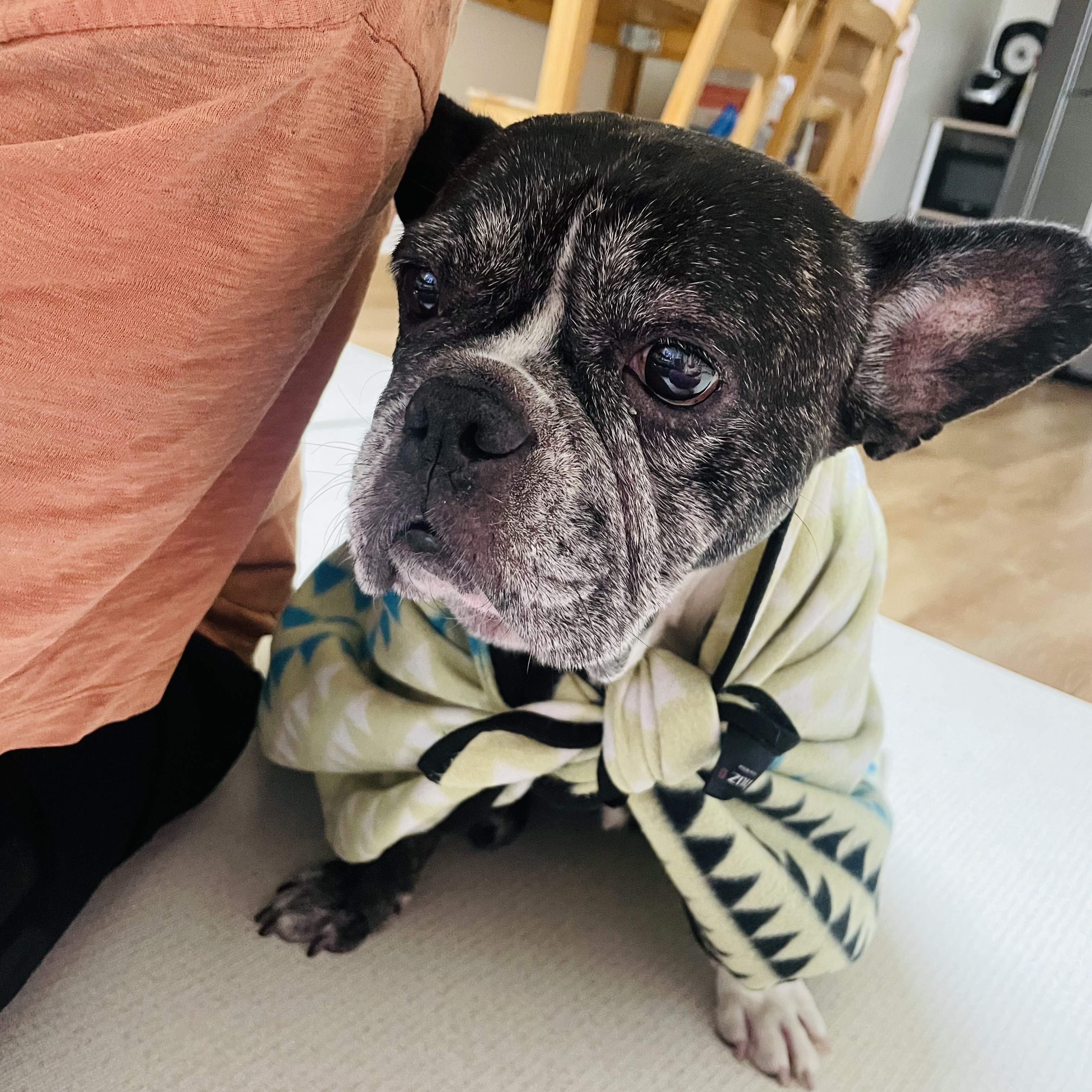 호이 임보일기!!! 💗💗