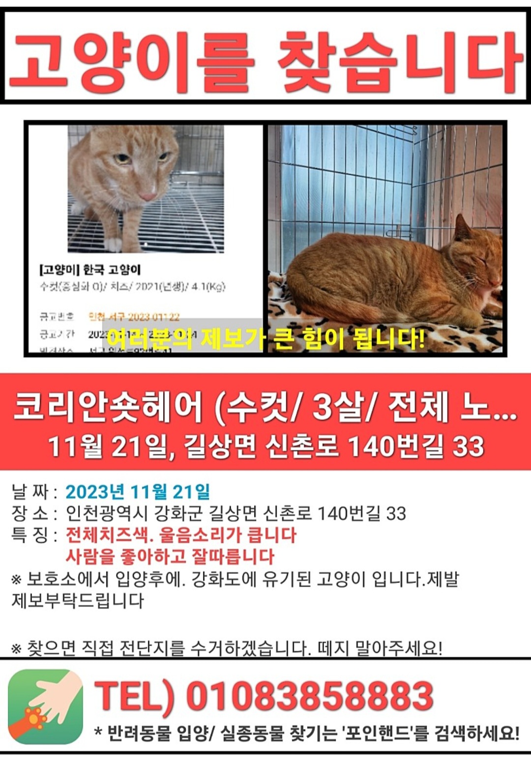동물 유기 상담원합니다