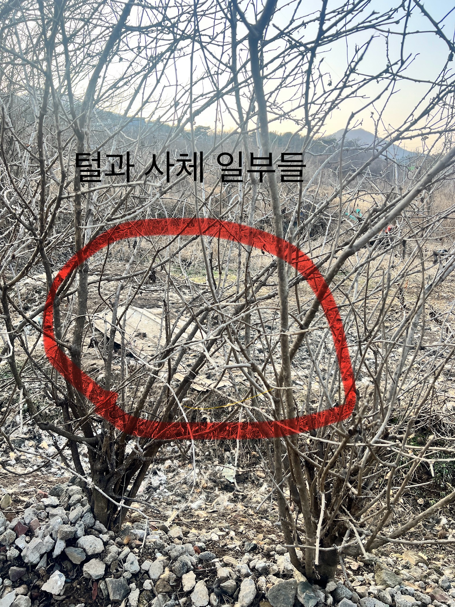 개 도축장을 발견했습니다