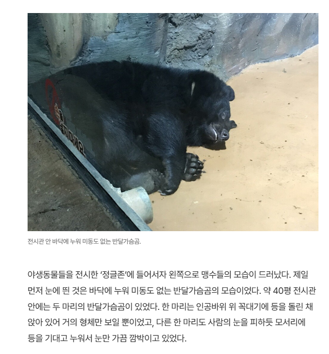 웅진플레이도시내 실내동물원 심각성 