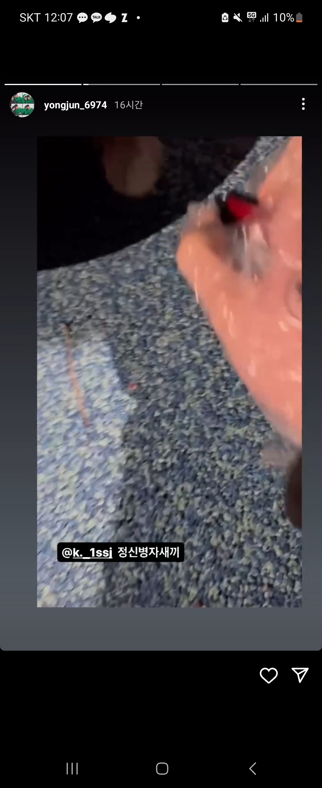 햄스터 학대