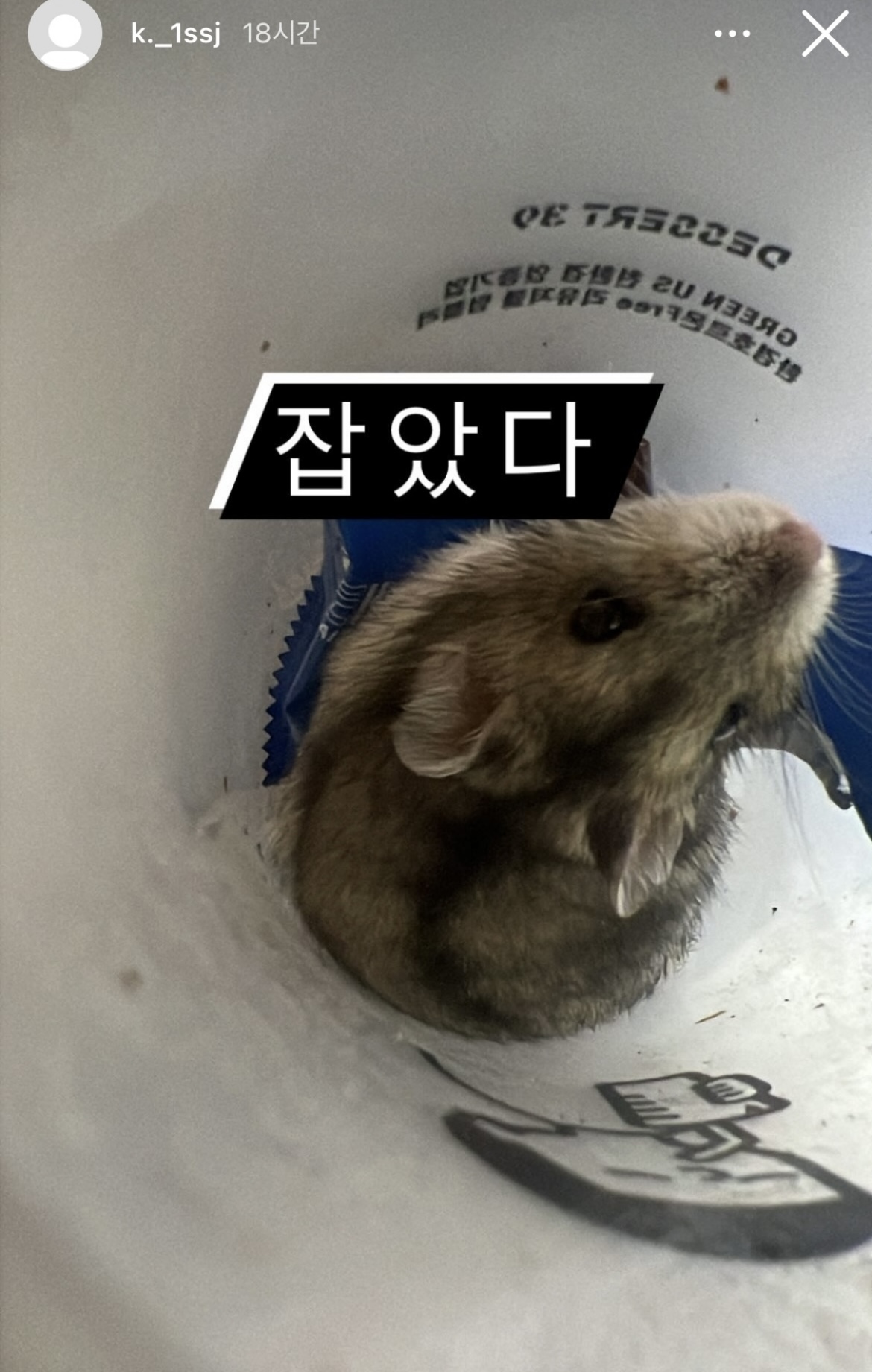 햄스터 불 붙여 학대
