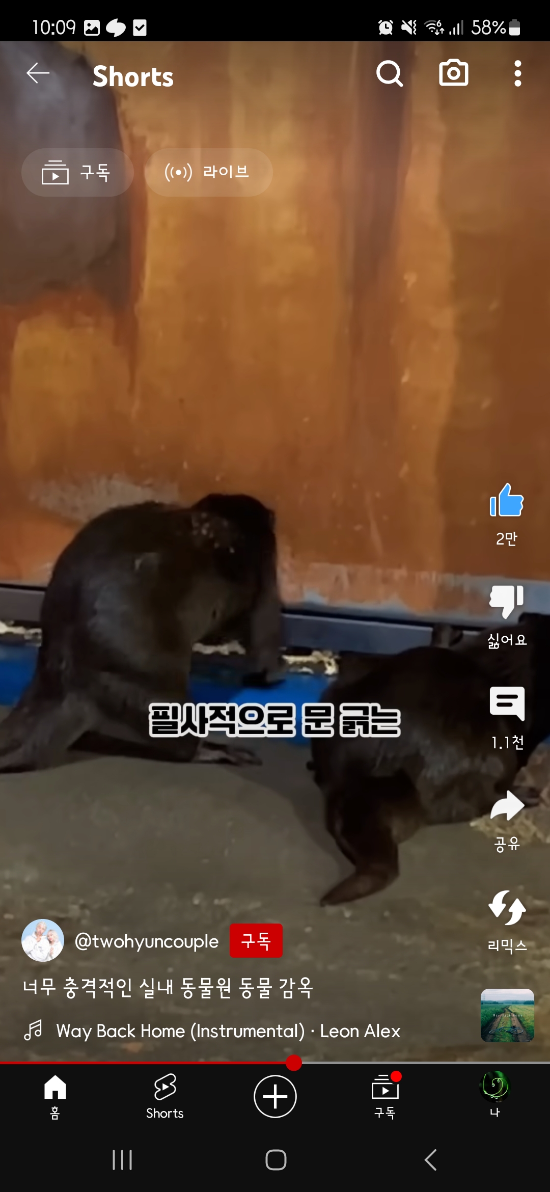 부천 웅진 플레이 도시 너무 열악한 동물원