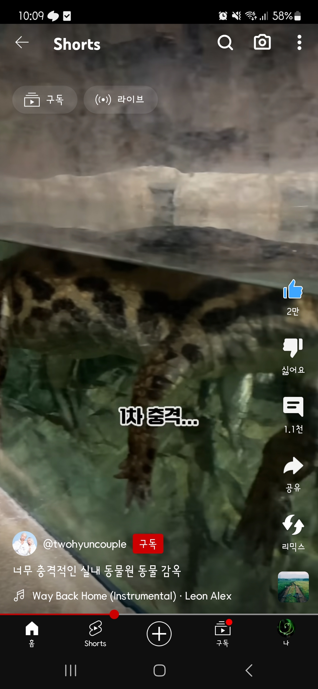 부천 웅진 플레이 도시 너무 열악한 동물원