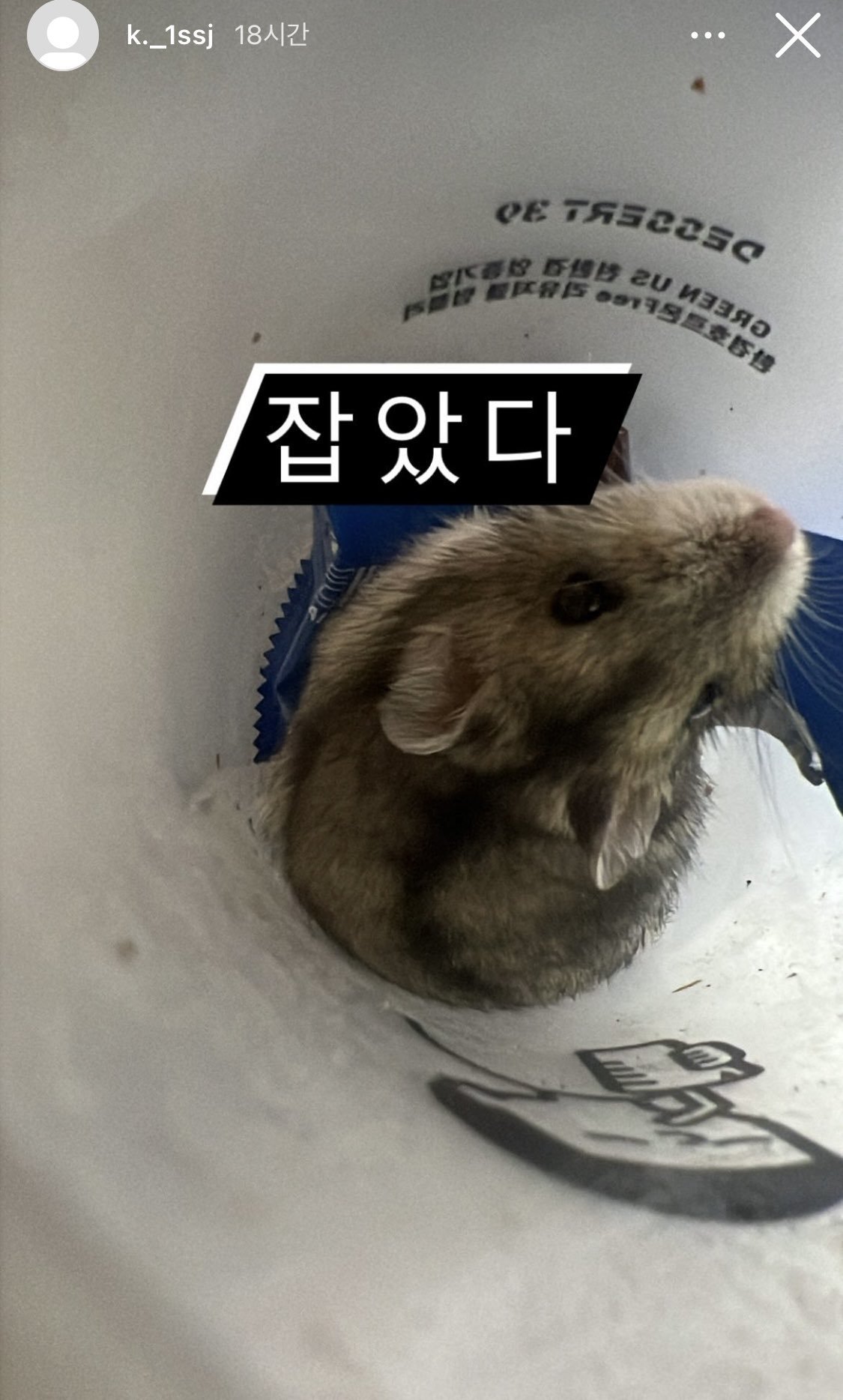 햄스터 산 채로 불 태우는 08년생 제보합니다