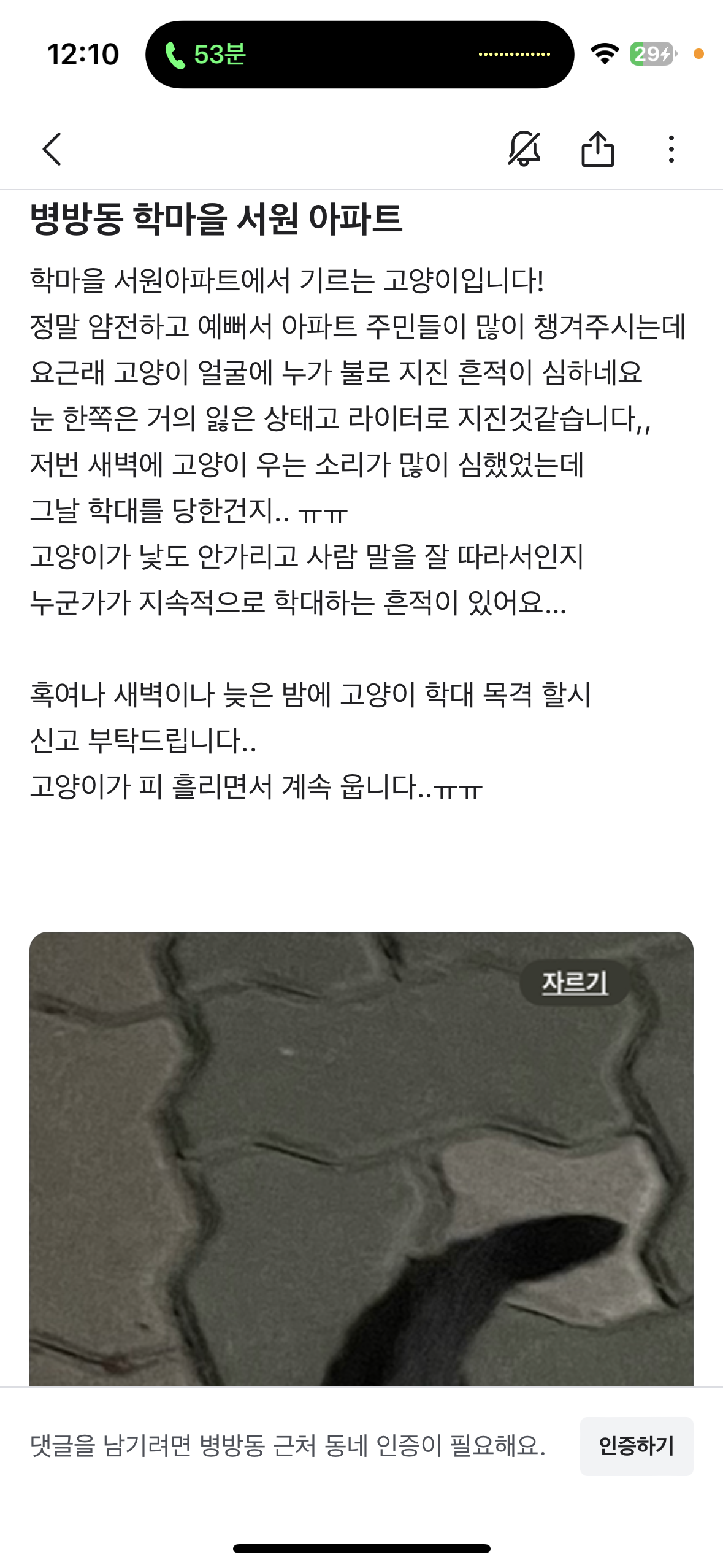 인천 아파트 고양이 학대