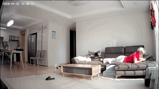 샬롯(구 포아)이 온지 1년 5개월❤️