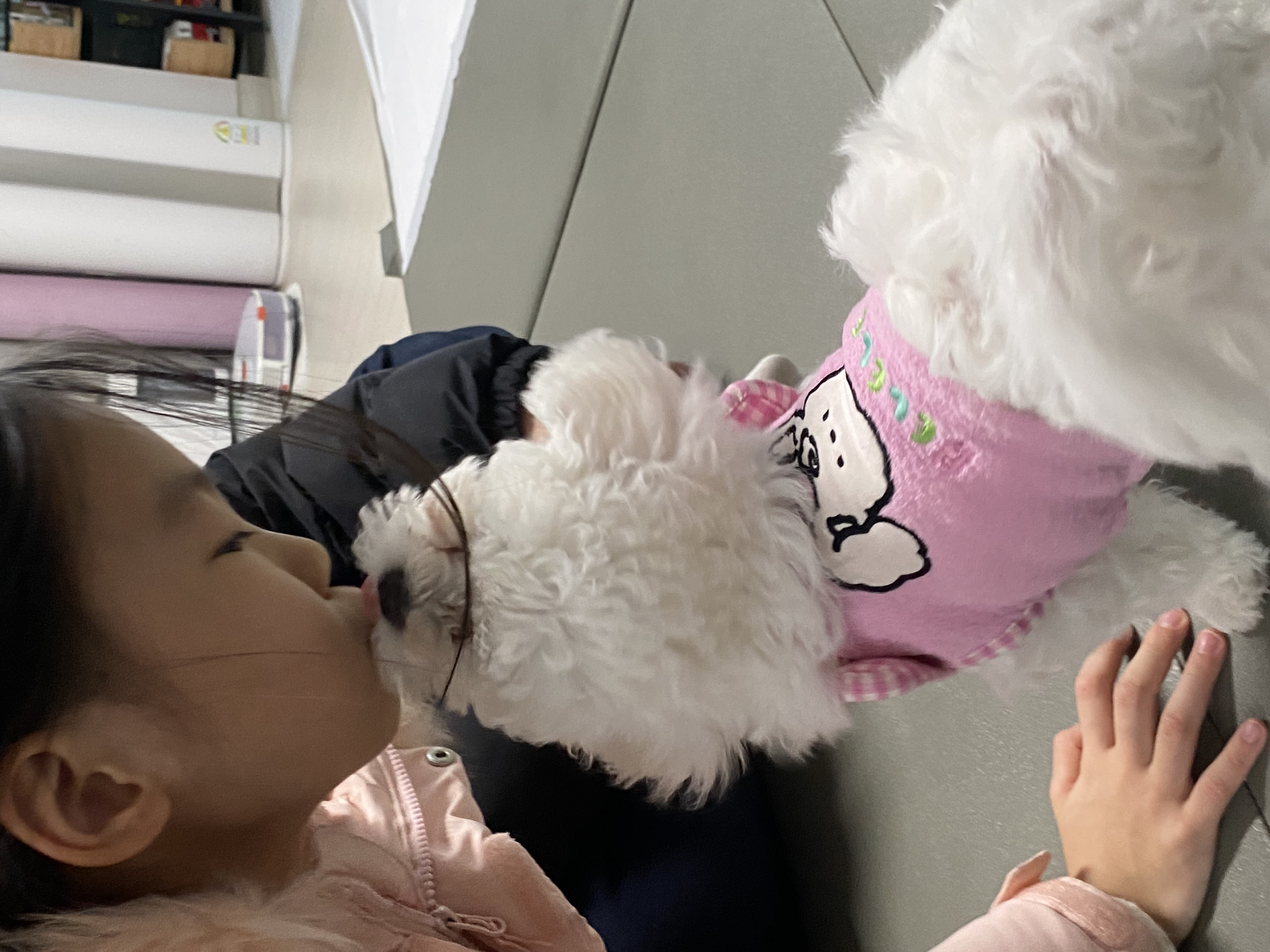 푸양이아기 양일이(심쿵이) 입양후기1