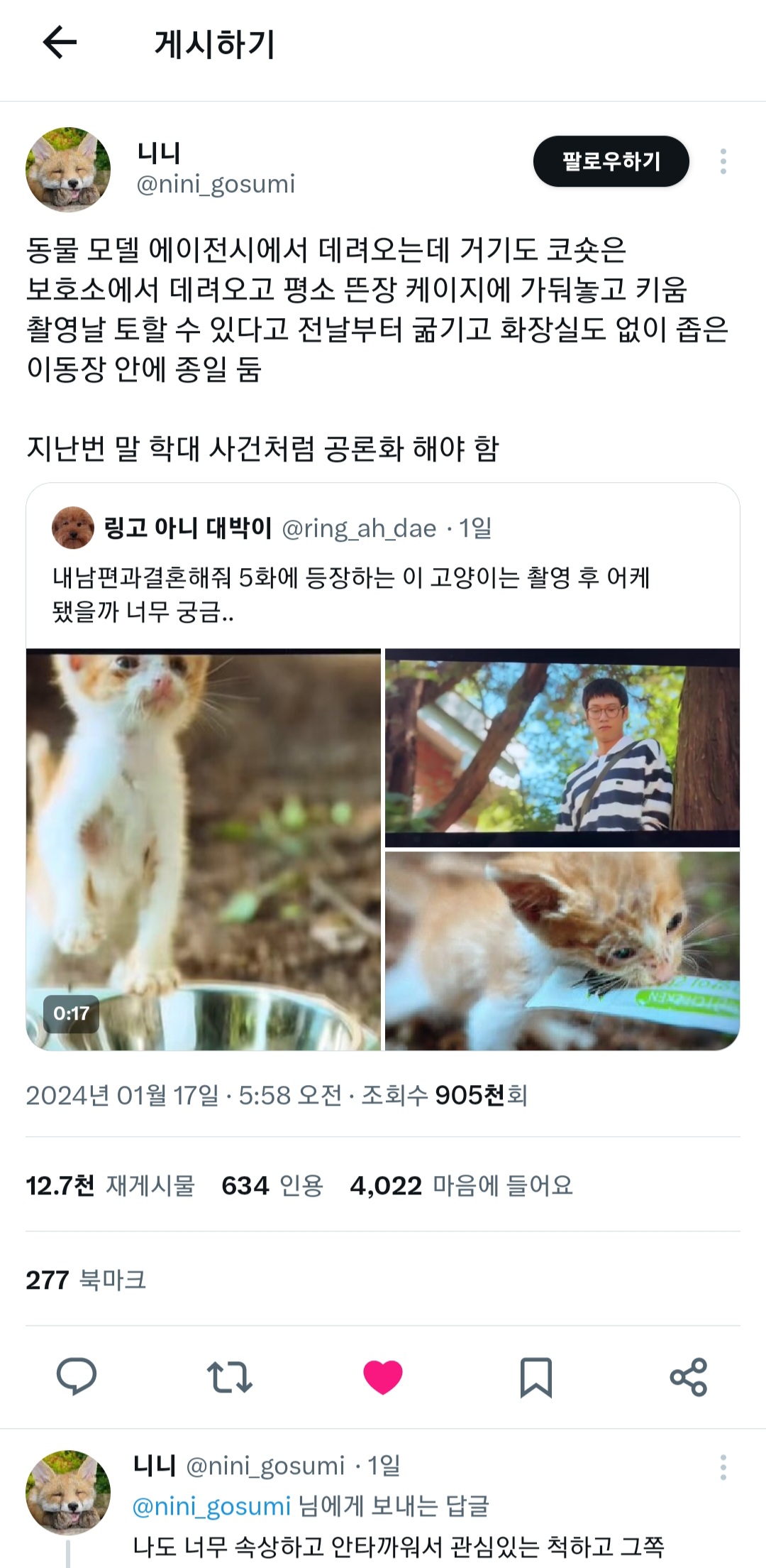촬영용 고양이 학대 제보합니다