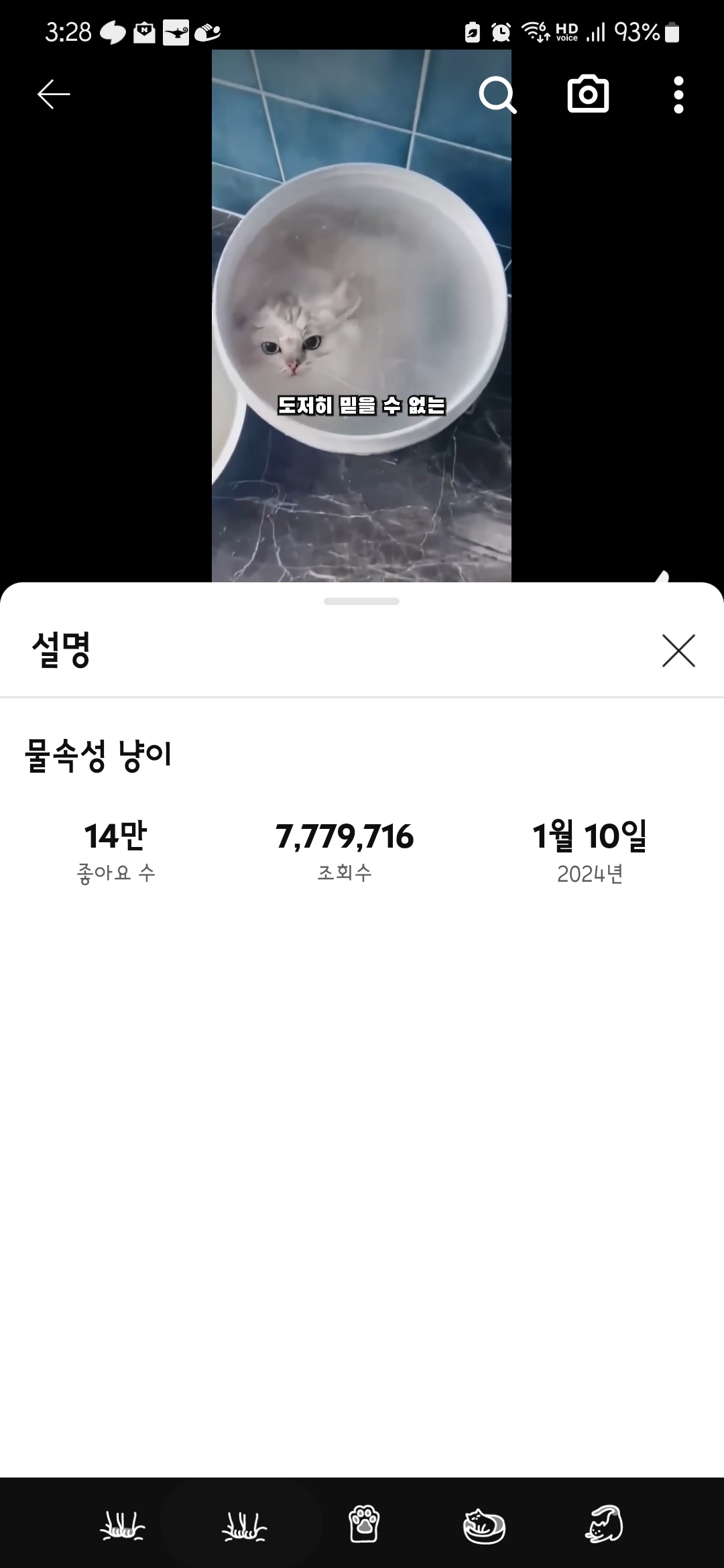 학대가 의심되는 유튜브 영상