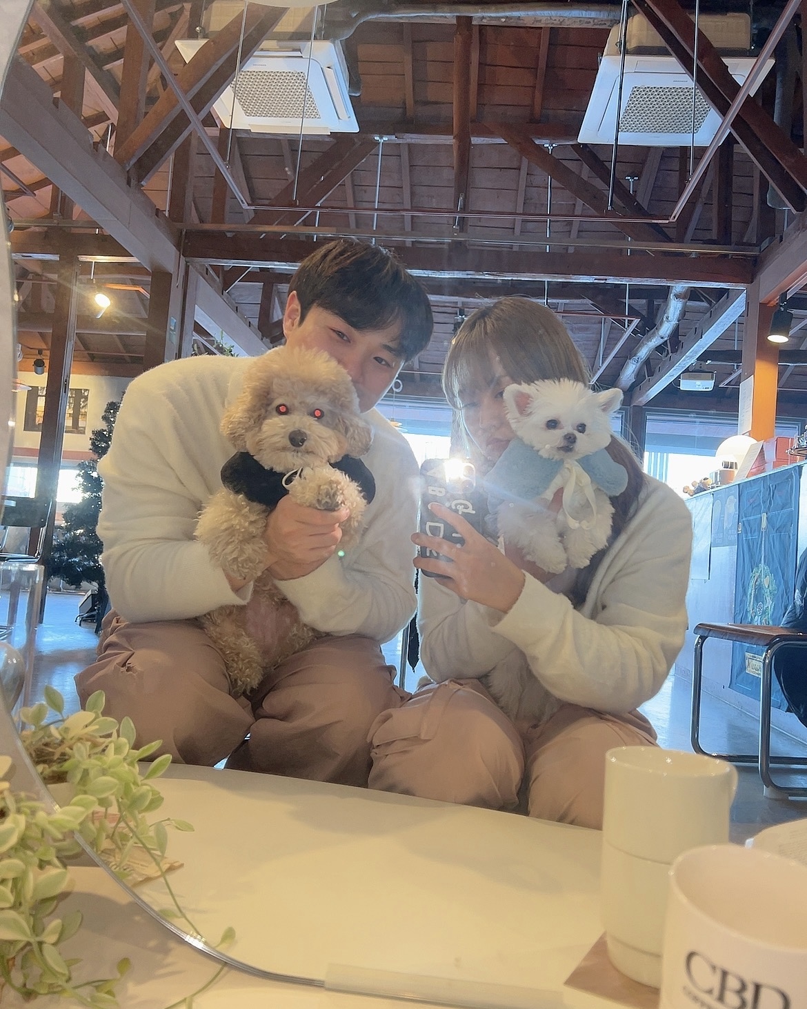 아산 구조견 나엘 가희
