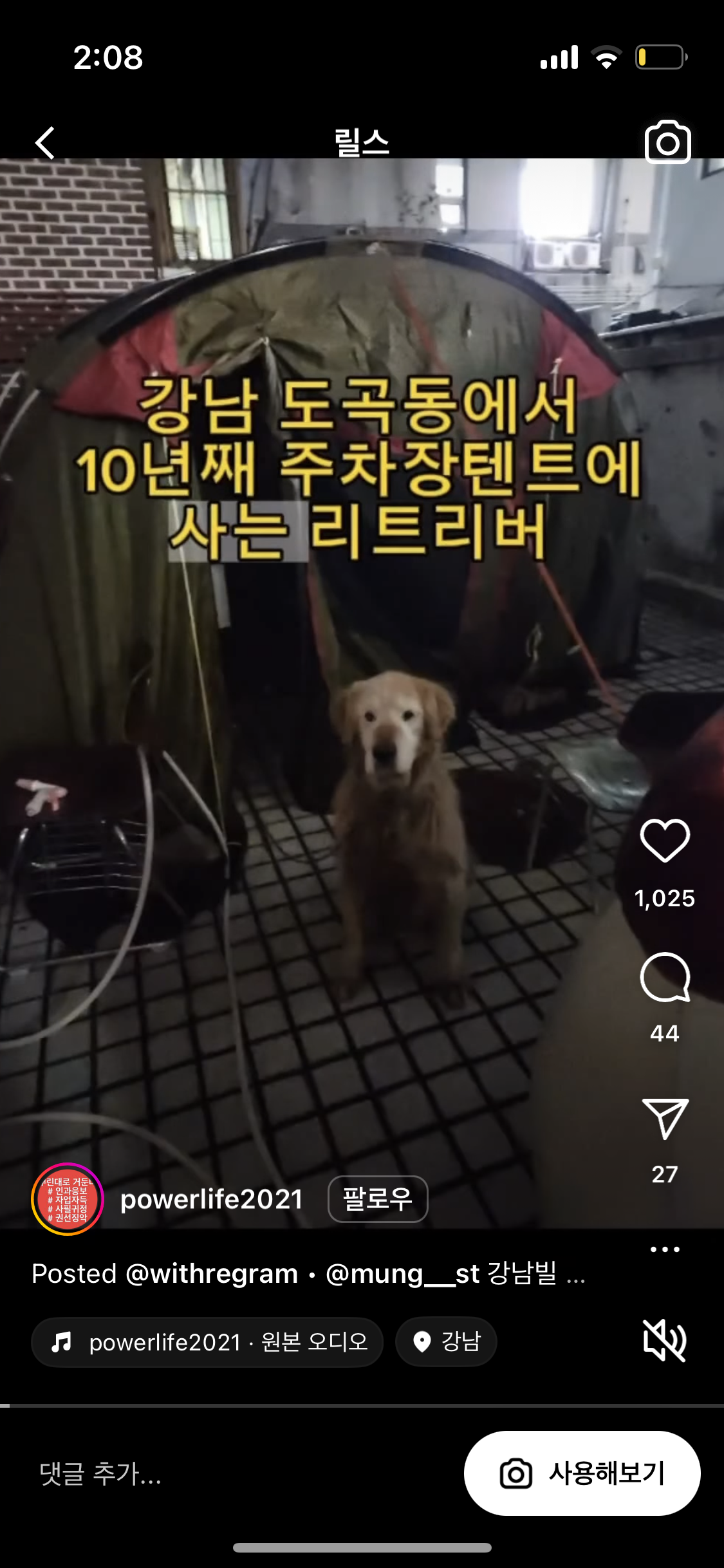 강남 빌라 옆 길바닥 텐트견