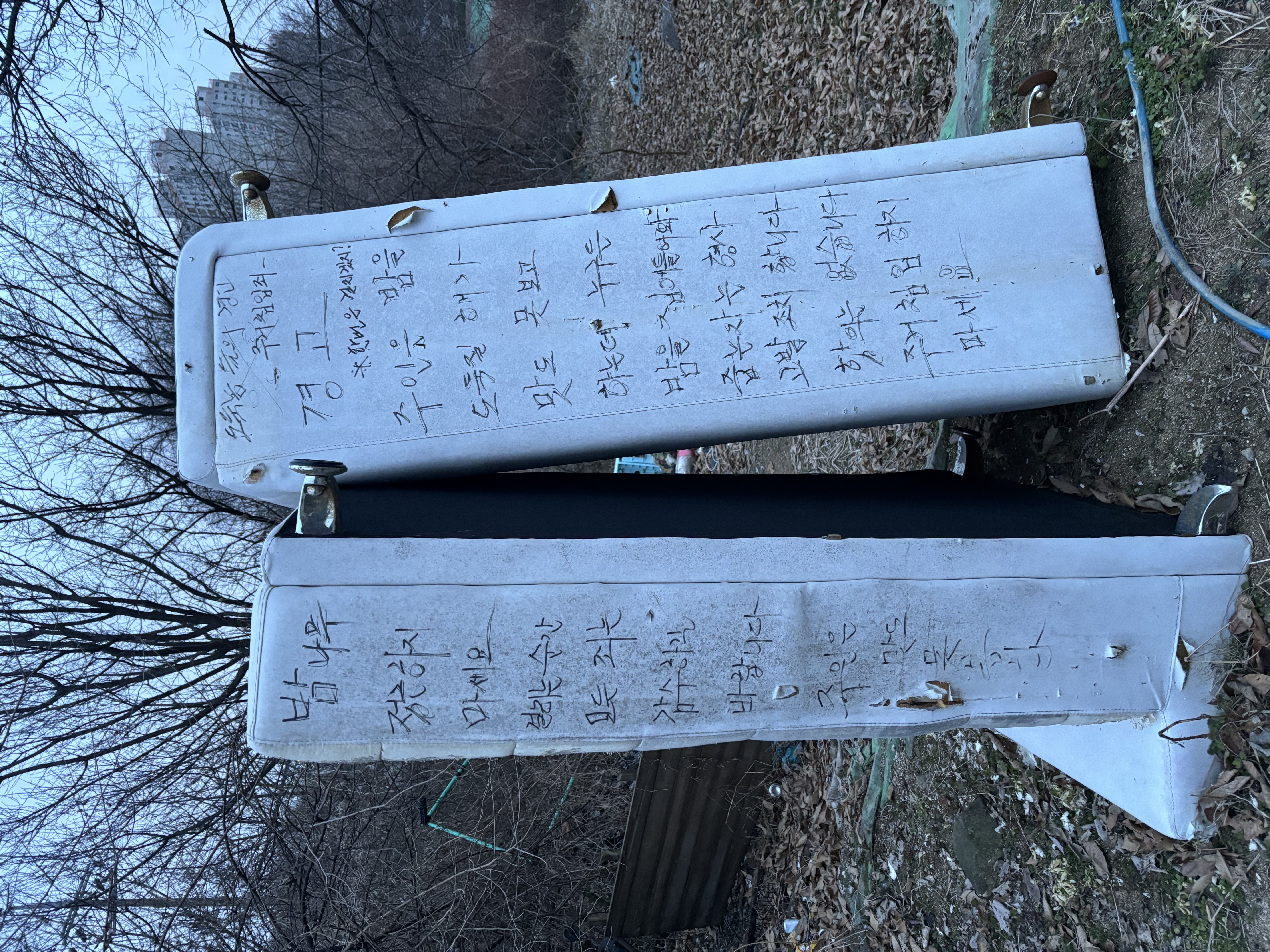 [긴급구조요청] 배설물 범벅 사료를 먹으며 살아가는 방치견 구조 요청
