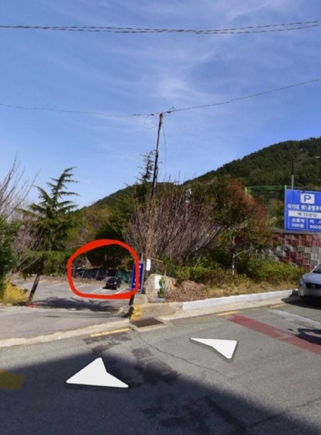 부산 남구 이기대 입구 주차장 옆 불법개농장 아이들 구조 도와주세요!!!