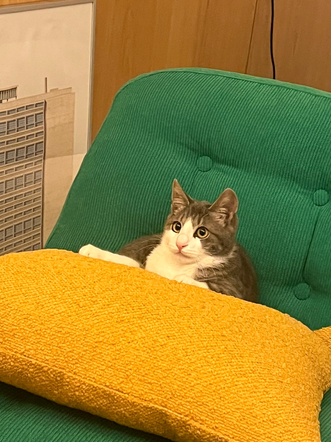 해봄이와 함께한 일주일