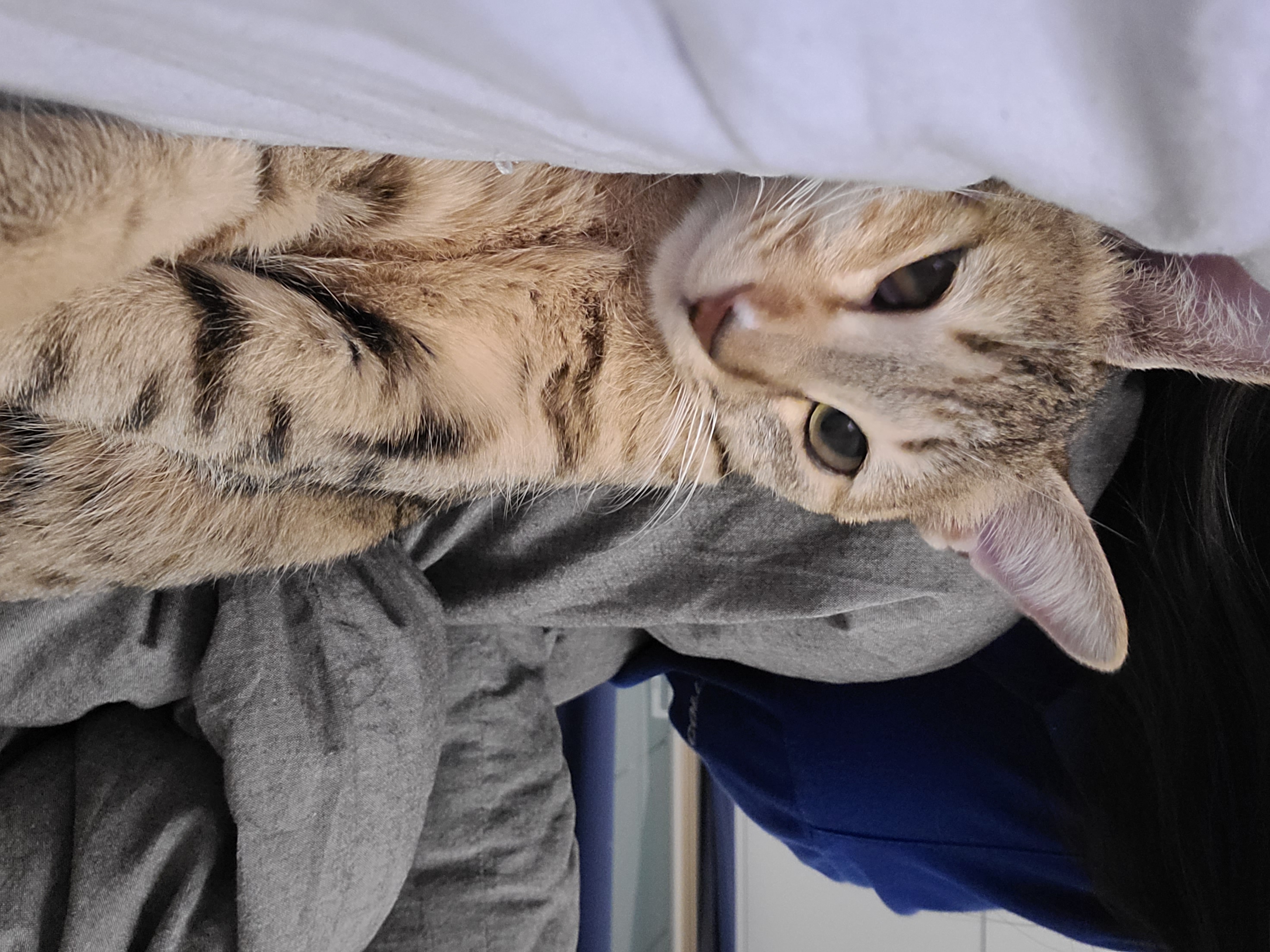 튼이튼이 이튼이