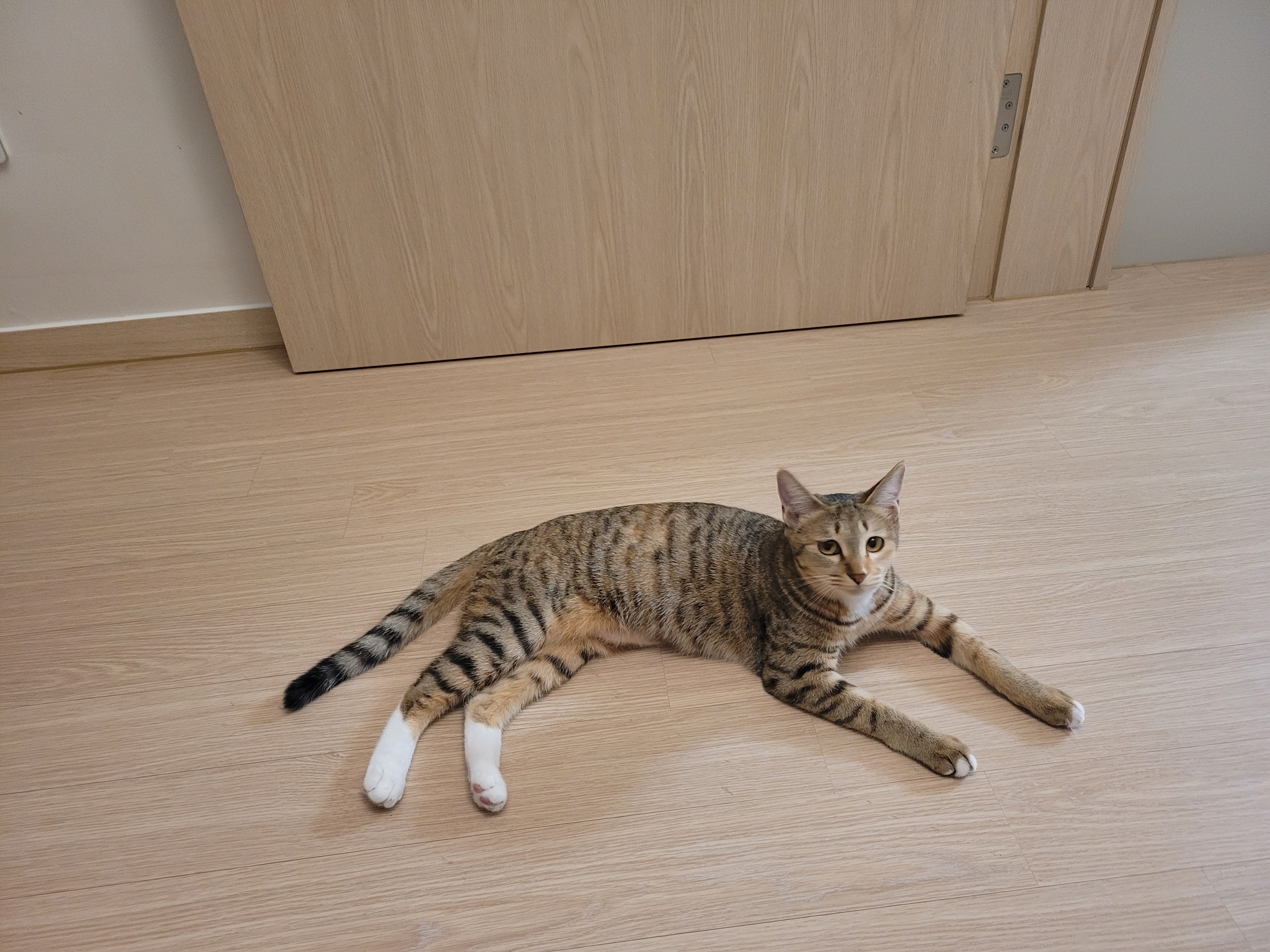 튼이튼이 이튼이