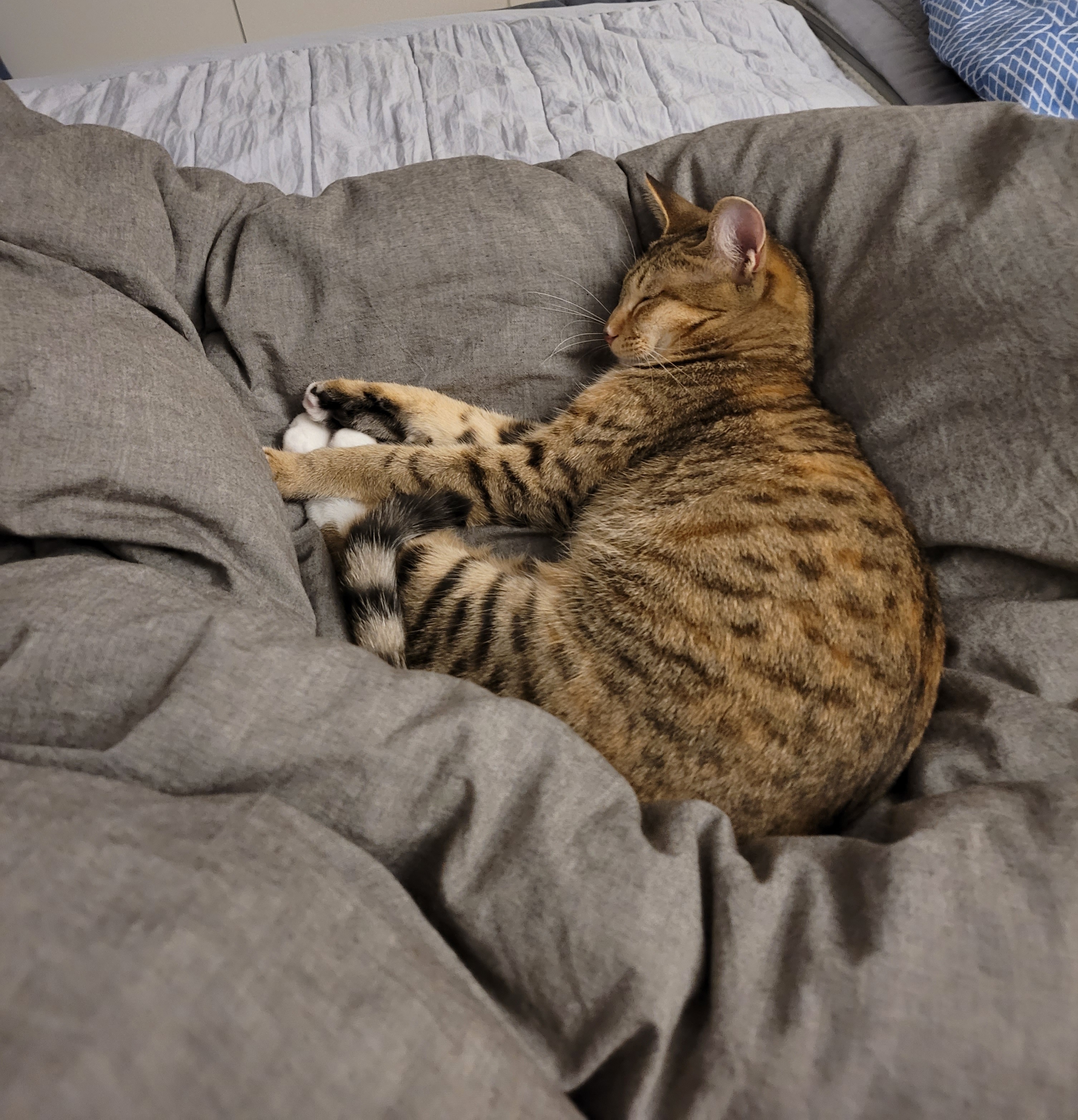 튼이튼이 이튼이