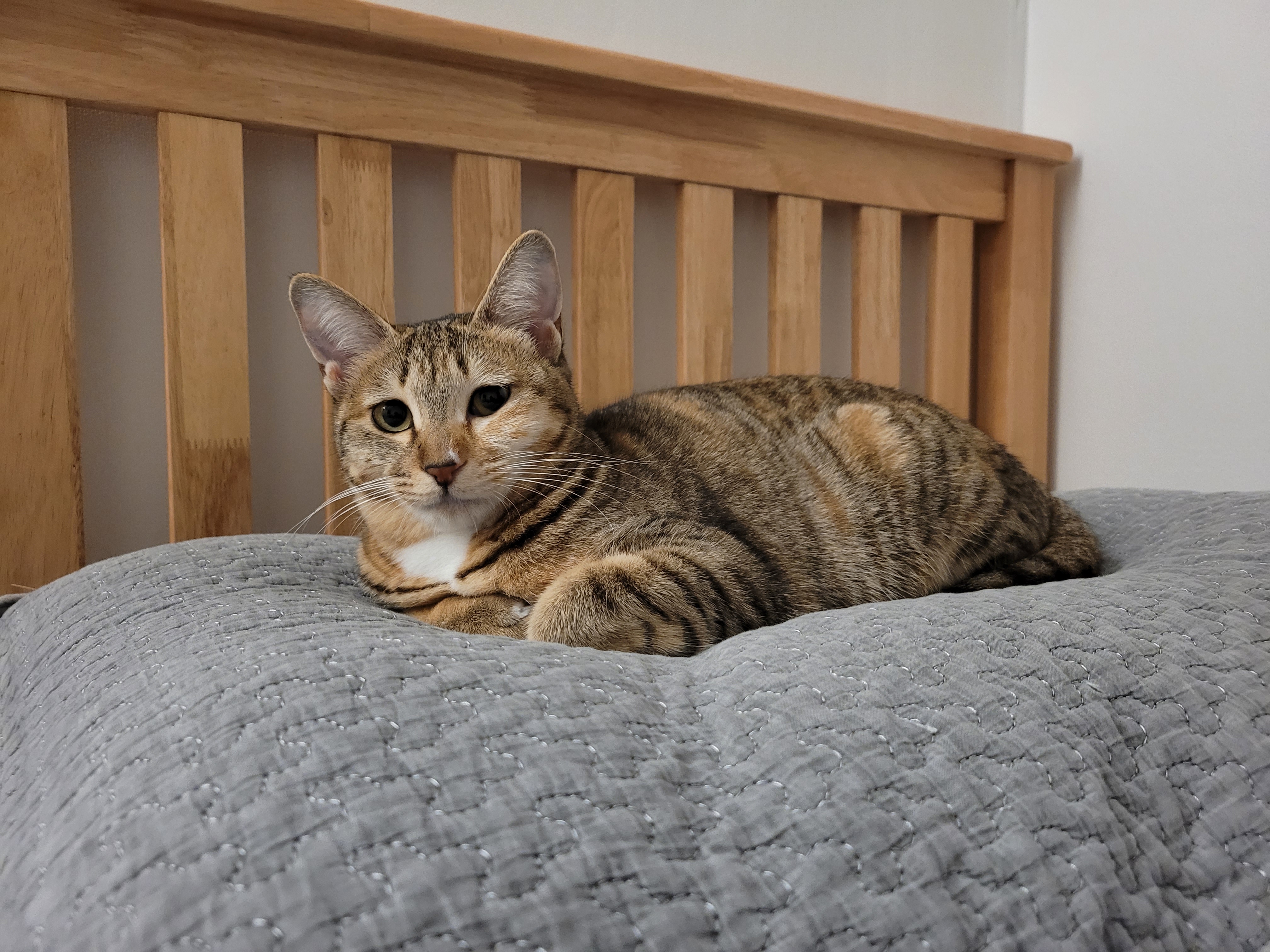 튼이튼이 이튼이