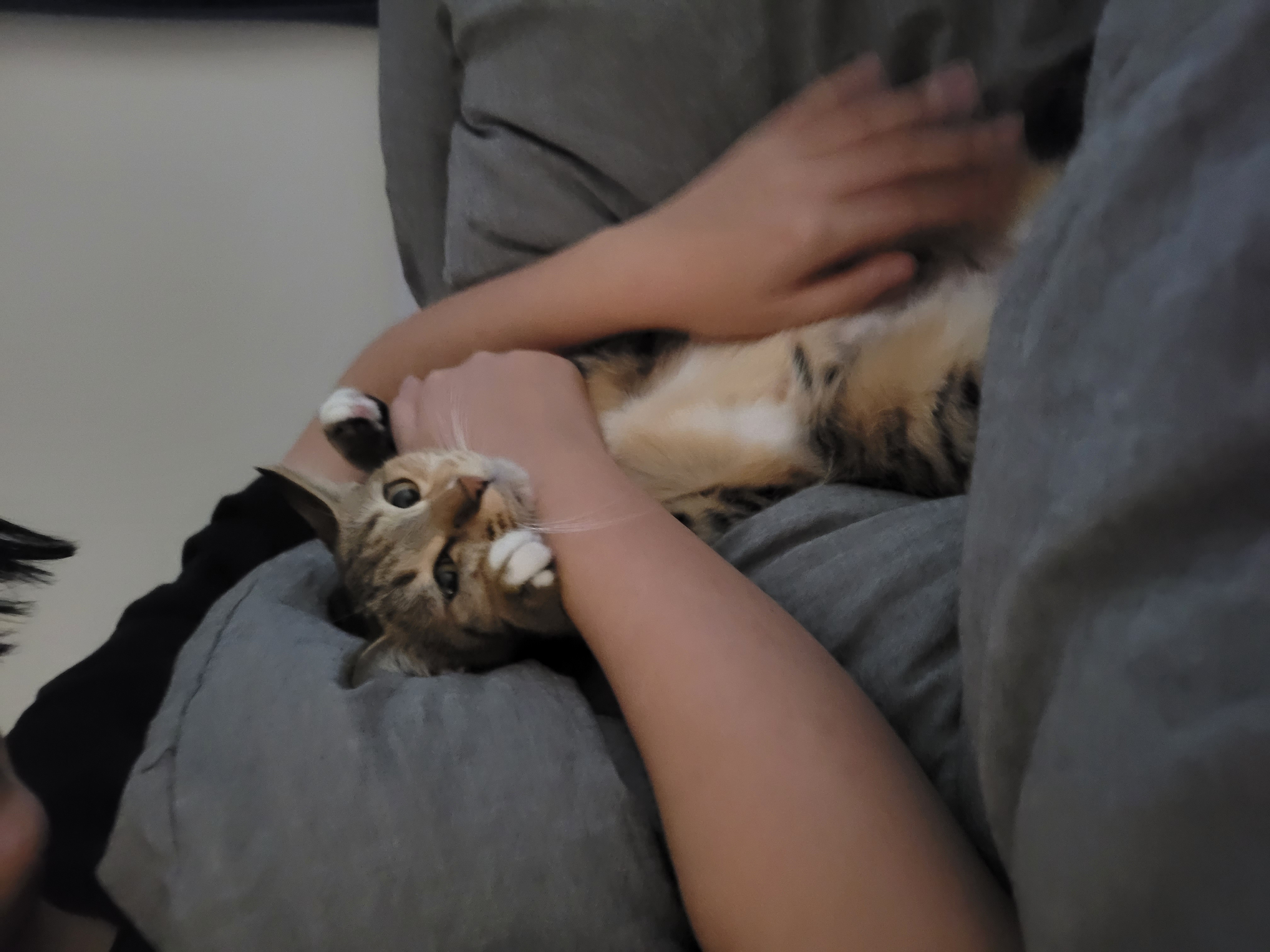 튼이튼이 이튼이