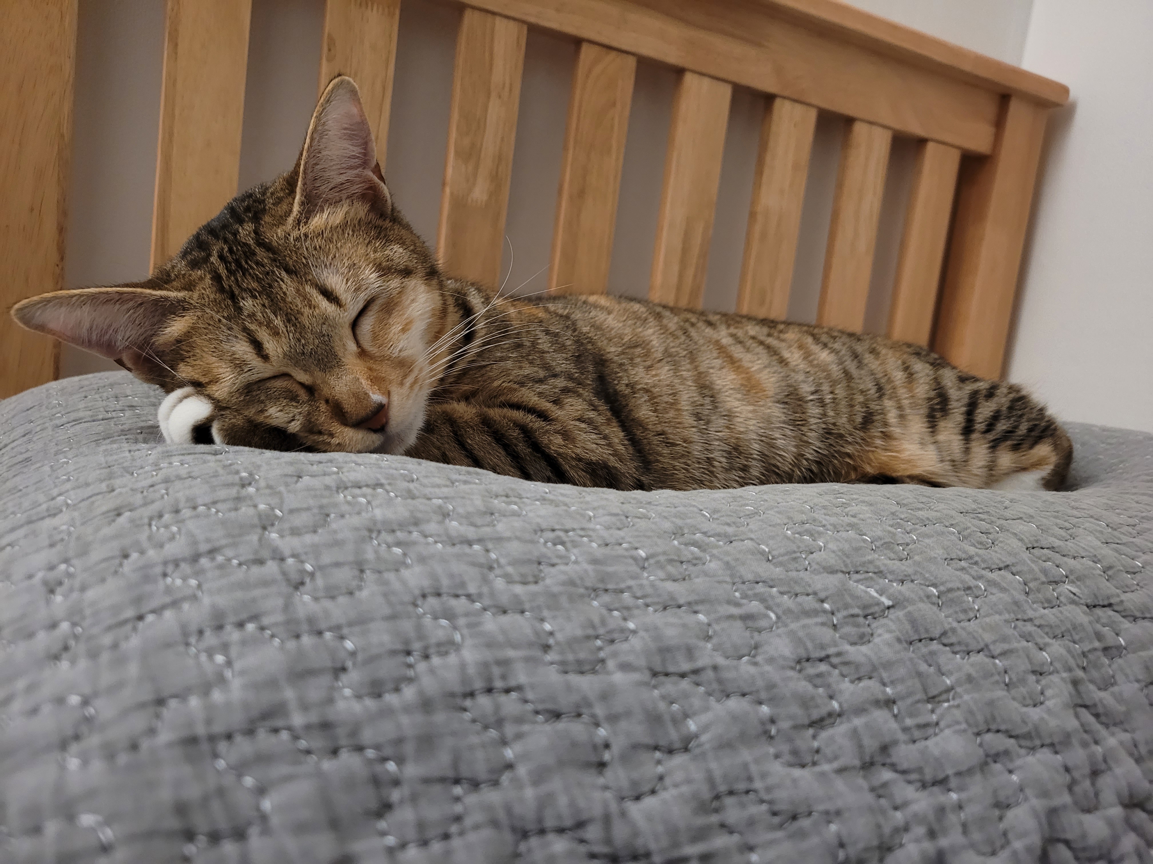 튼이튼이 이튼이