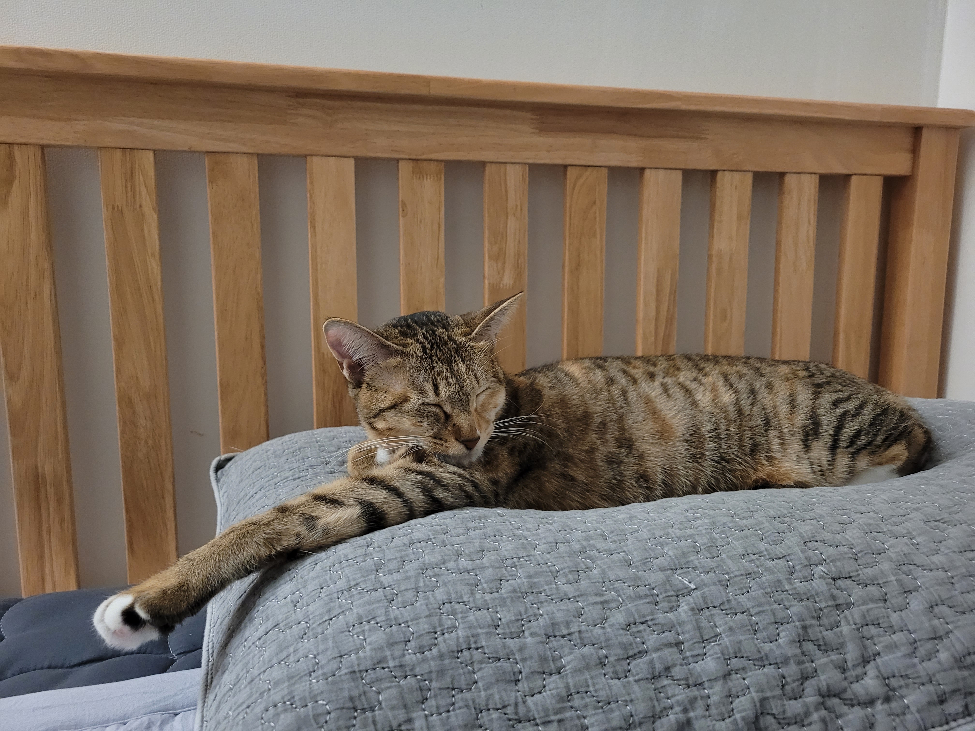 튼이튼이 이튼이