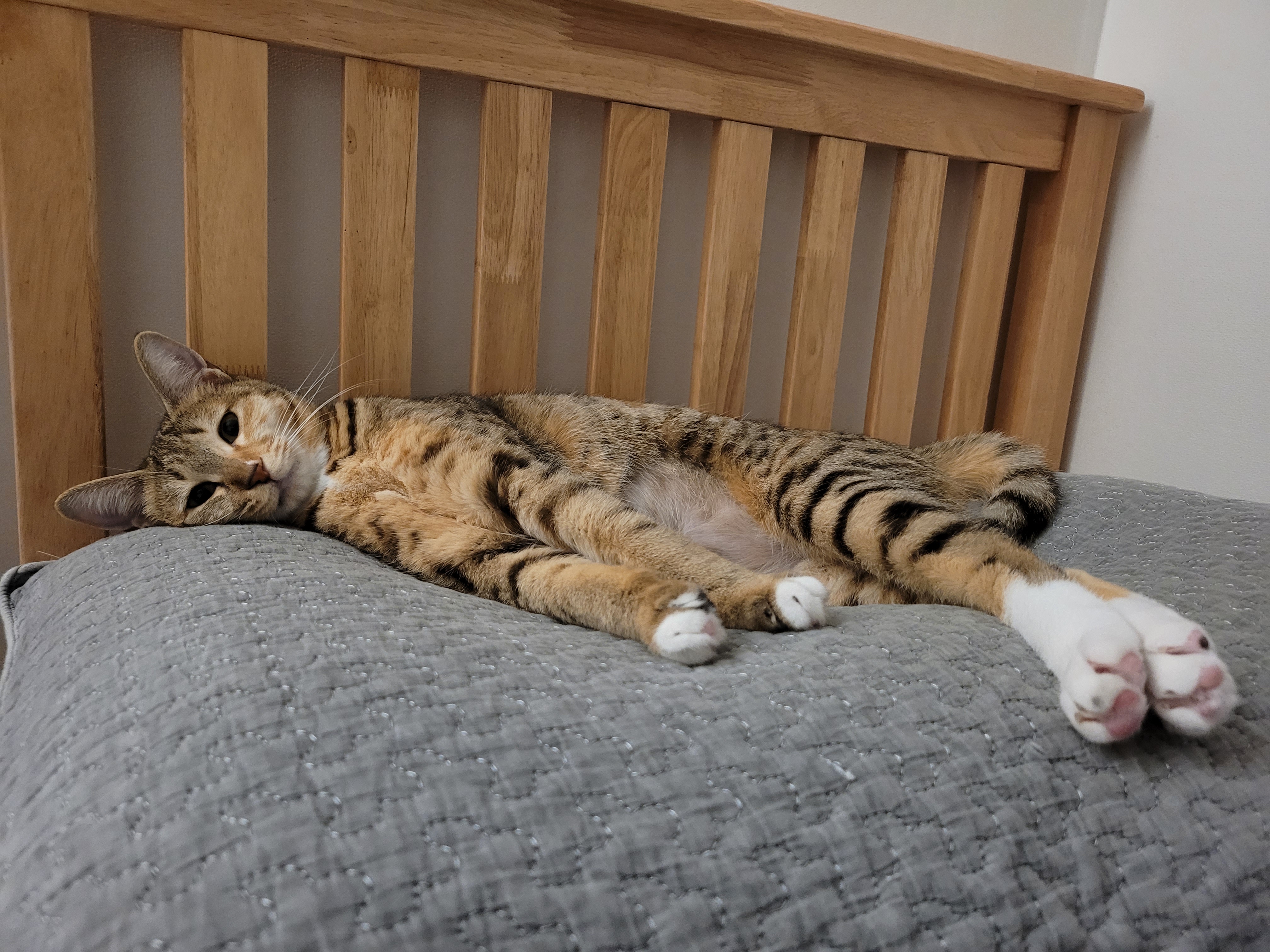 튼이튼이 이튼이