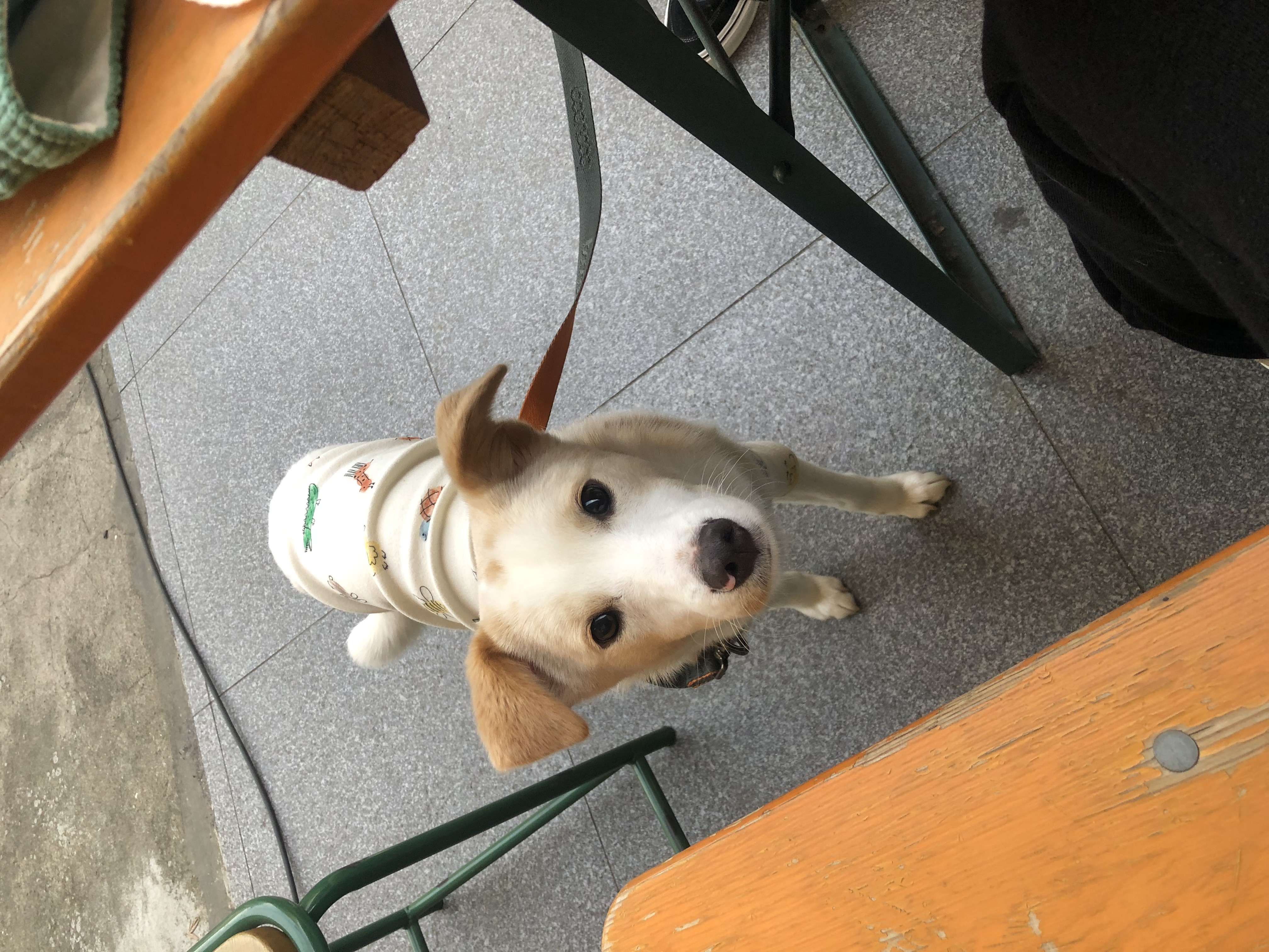 구구(구 건빛) 입양 3달차 후기 :)