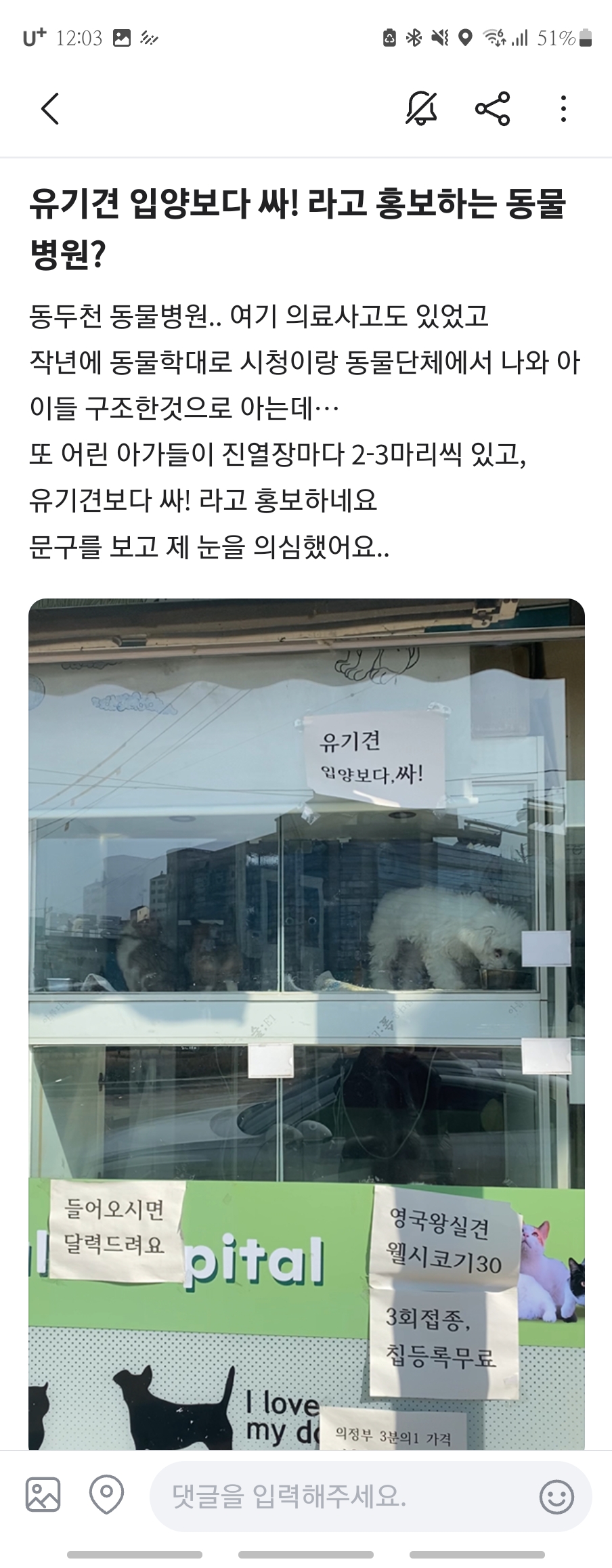 동두천에서 유명한 동물병원이라네요