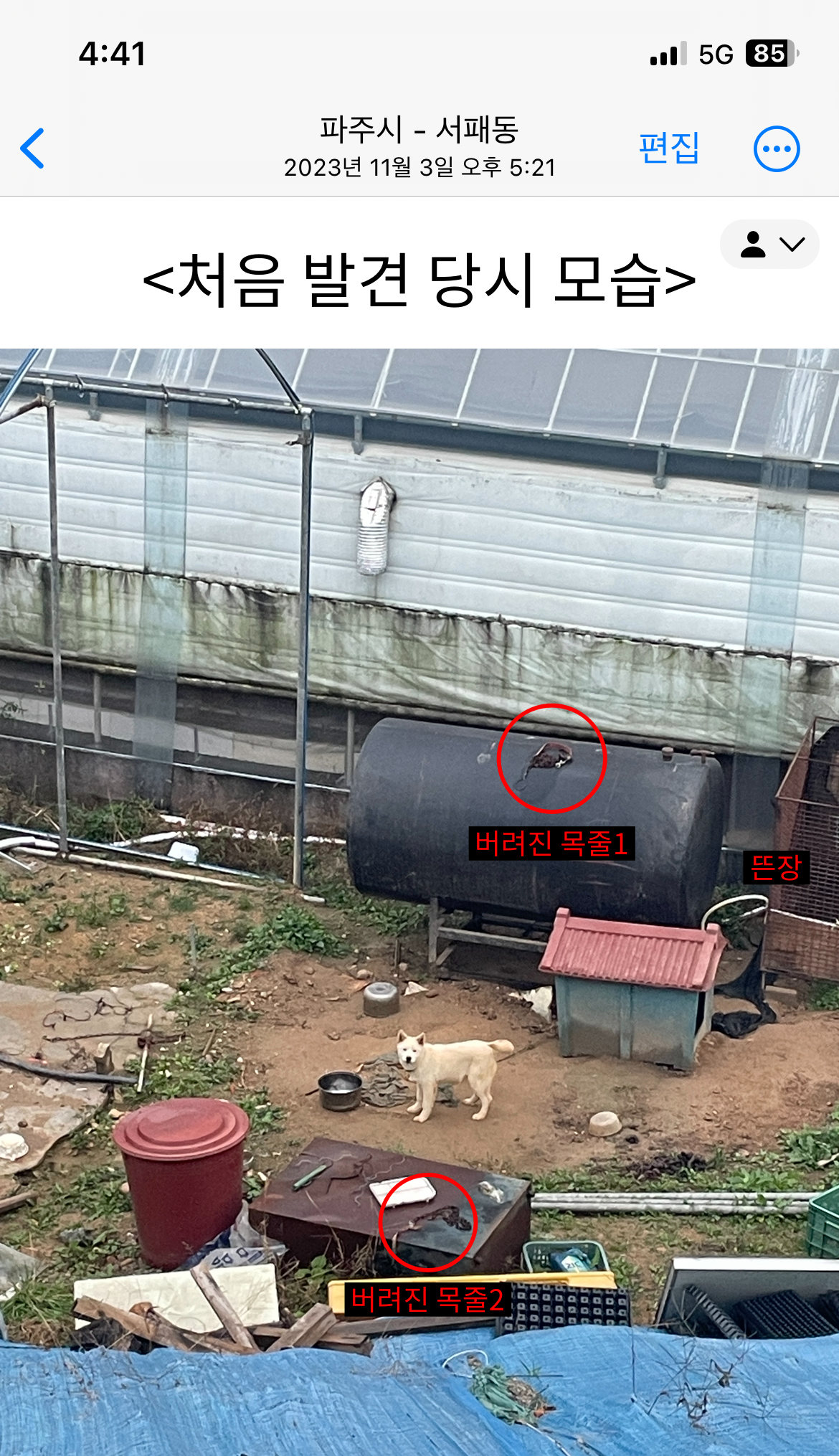 뜬장에 똥이 가득하고 조개껍데기를 먹는 아이를 구조해주세요.